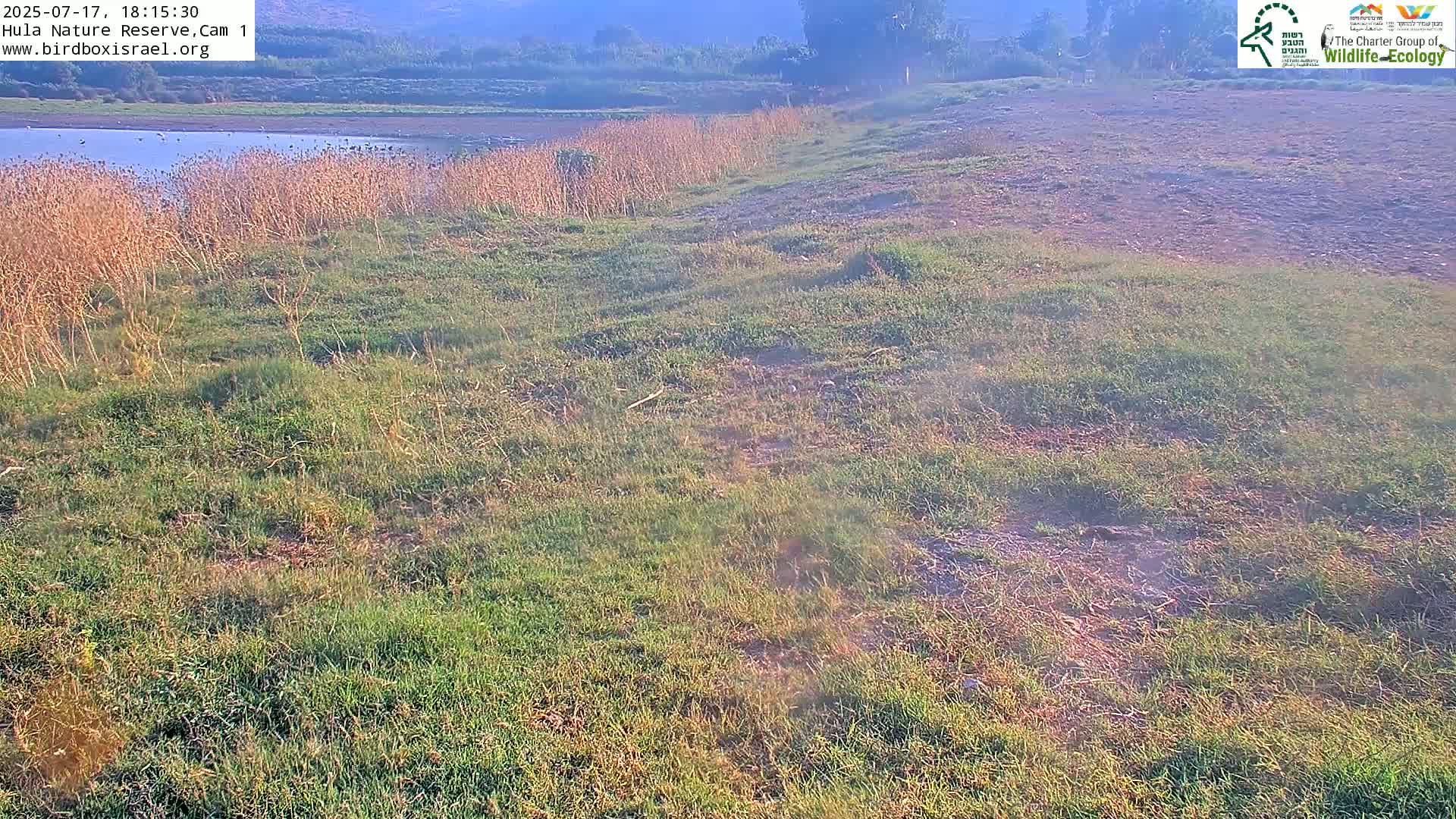 Hula Nature Reserve Bird Life & Israel-Syria Border Golan Hills & Hermon Mountain/Jabal al Shaykh View Live Cam - Yesud Hamaala, Northern, Israel
