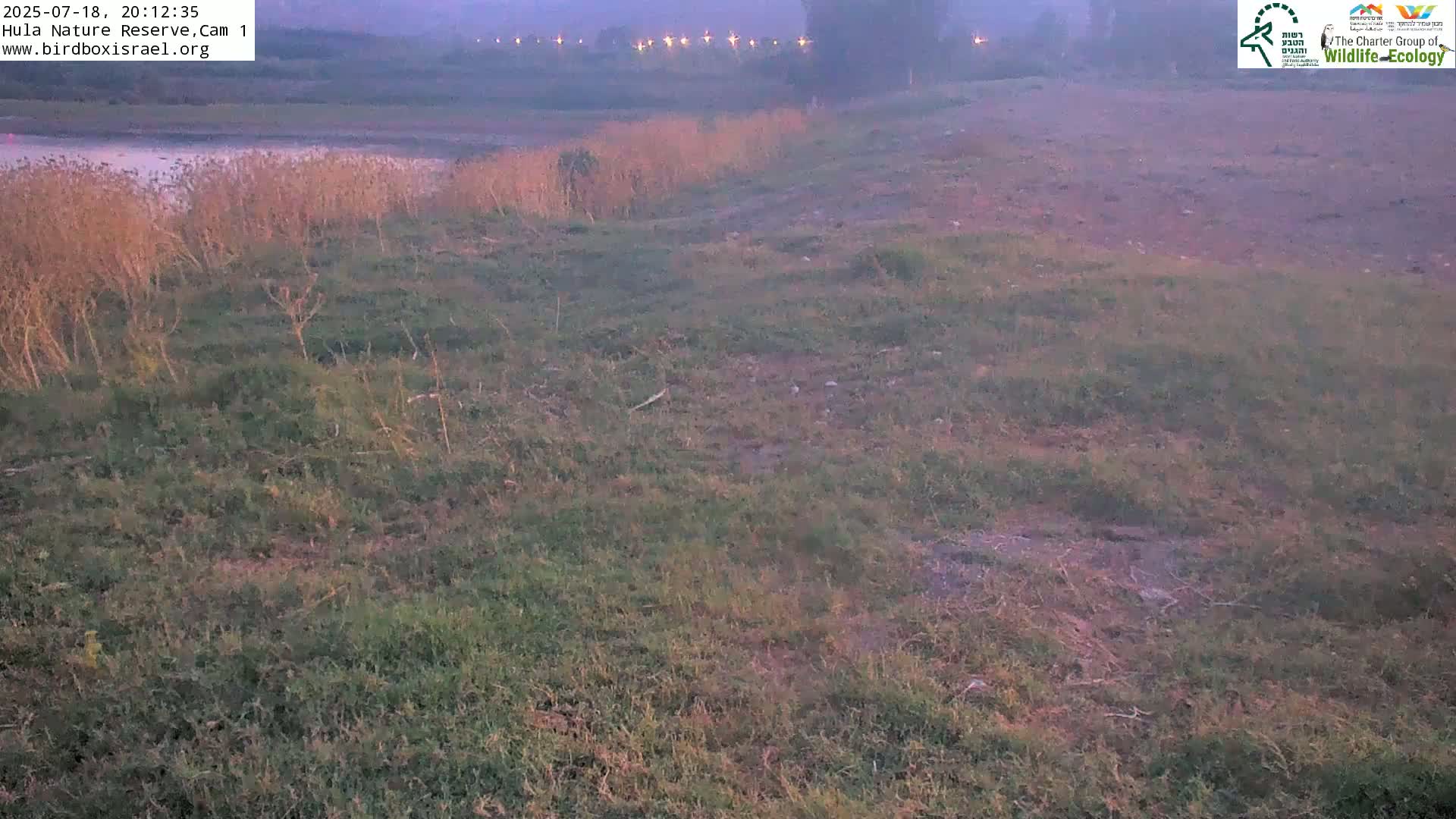 Hula Nature Reserve Bird Life & Israel-Syria Border Golan Hills & Hermon Mountain/Jabal al Shaykh View Live Cam - Yesud Hamaala, Northern, Israel