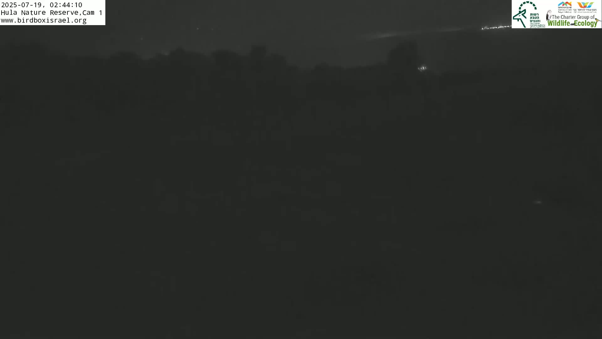 Hula Nature Reserve Bird Life & Israel-Syria Border Golan Hills & Hermon Mountain/Jabal al Shaykh View Live Cam - Yesud Hamaala, Northern, Israel