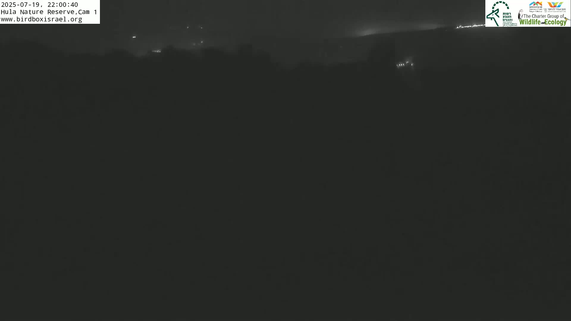 Hula Nature Reserve Bird Life & Israel-Syria Border Golan Hills & Hermon Mountain/Jabal al Shaykh View Live Cam - Yesud Hamaala, Northern, Israel