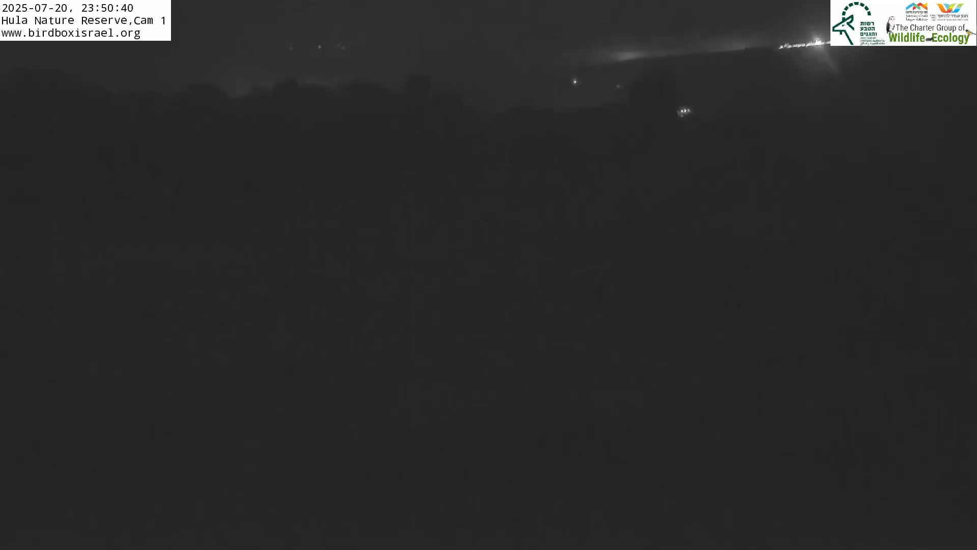 Hula Nature Reserve Bird Life & Israel-Syria Border Golan Hills & Hermon Mountain/Jabal al Shaykh View Live Cam - Yesud Hamaala, Northern, Israel