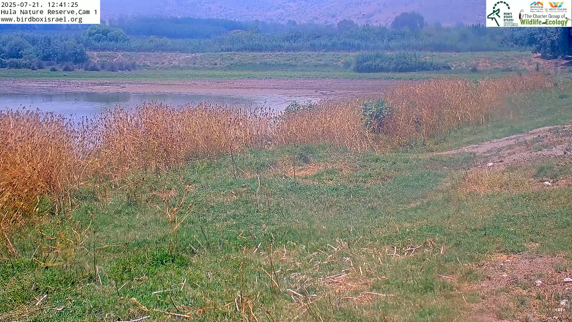 Hula Nature Reserve Bird Life & Israel-Syria Border Golan Hills & Hermon Mountain/Jabal al Shaykh View Live Cam - Yesud Hamaala, Northern, Israel