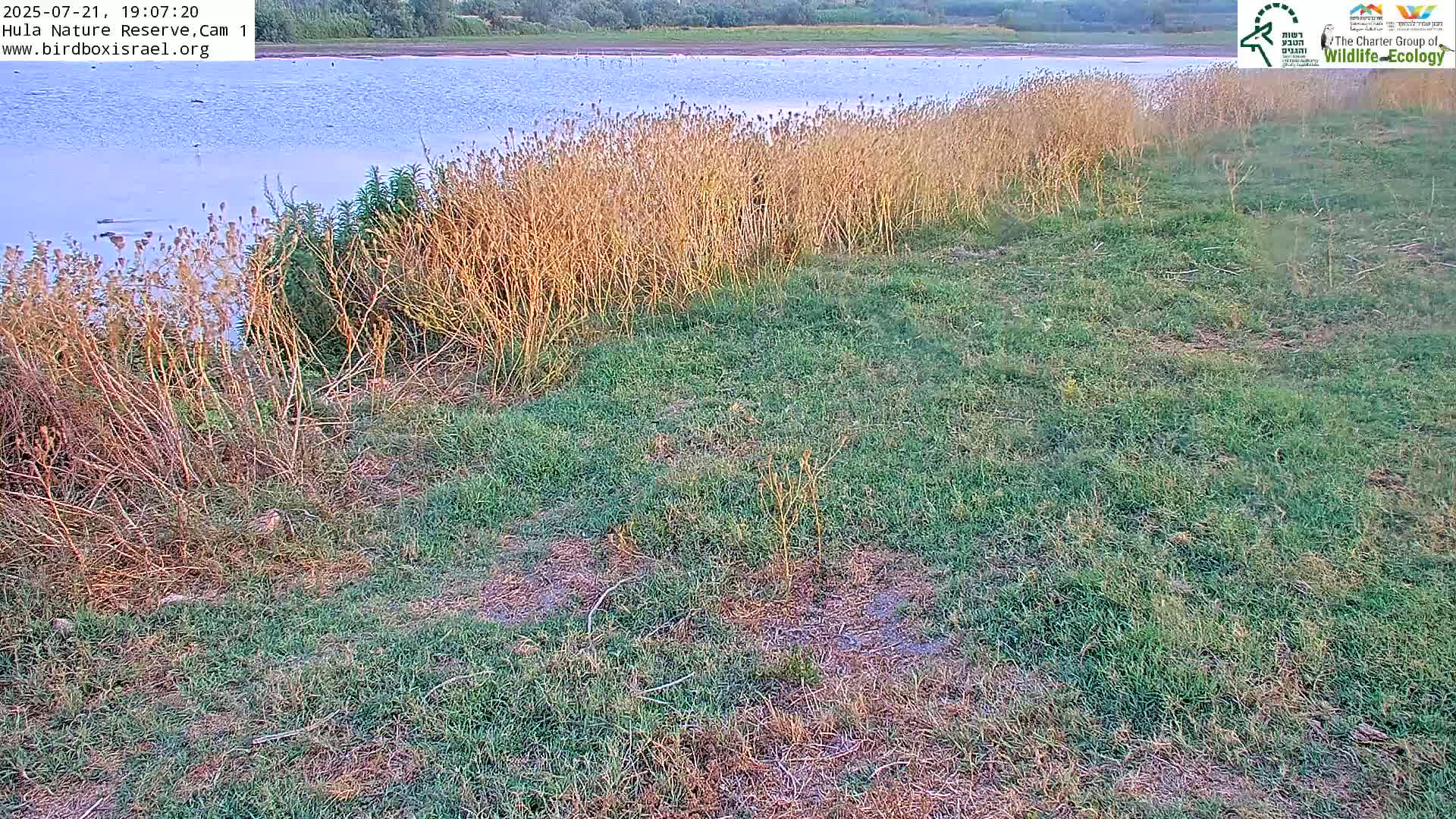 Hula Nature Reserve Bird Life & Israel-Syria Border Golan Hills & Hermon Mountain/Jabal al Shaykh View Live Cam - Yesud Hamaala, Northern, Israel