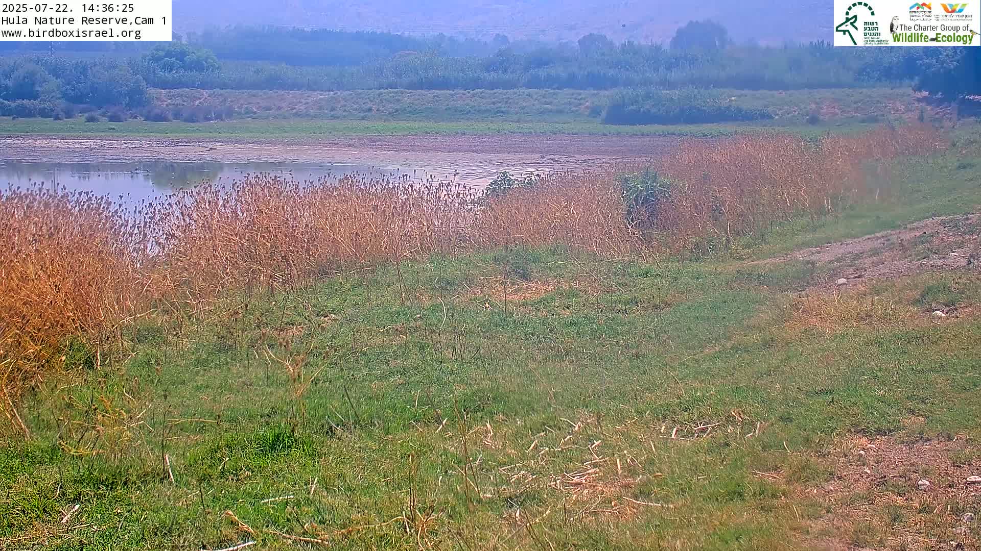 Hula Nature Reserve Bird Life & Israel-Syria Border Golan Hills & Hermon Mountain/Jabal al Shaykh View Live Cam - Yesud Hamaala, Northern, Israel