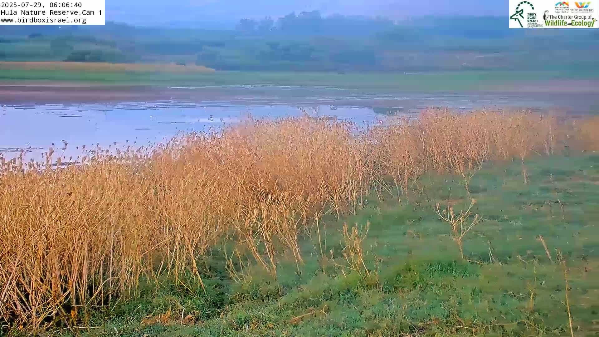 Hula Nature Reserve Bird Life & Israel-Syria Border Golan Hills & Hermon Mountain/Jabal al Shaykh View Live Cam - Yesud Hamaala, Northern, Israel