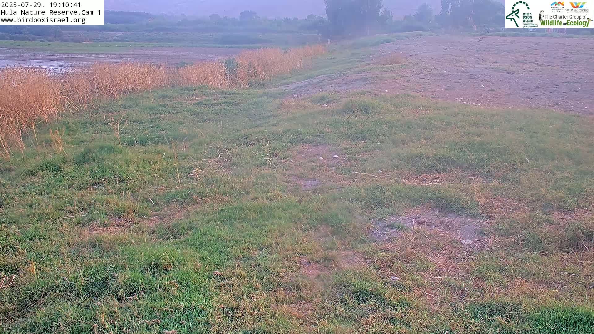 Hula Nature Reserve Bird Life & Israel-Syria Border Golan Hills & Hermon Mountain/Jabal al Shaykh View Live Cam - Yesud Hamaala, Northern, Israel