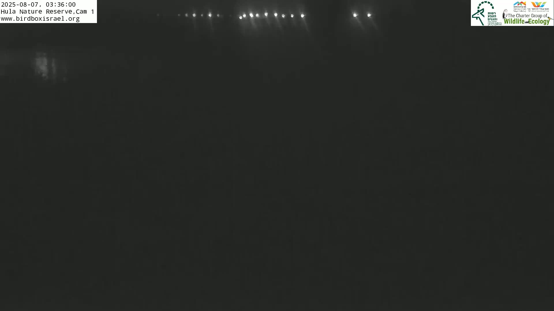 Hula Nature Reserve Bird Life & Israel-Syria Border Golan Hills & Hermon Mountain/Jabal al Shaykh View Live Cam - Yesud Hamaala, Northern, Israel