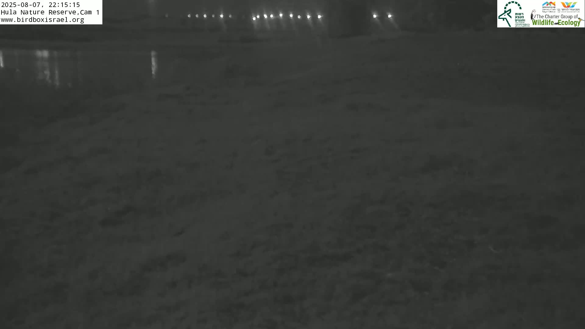 Hula Nature Reserve Bird Life & Israel-Syria Border Golan Hills & Hermon Mountain/Jabal al Shaykh View Live Cam - Yesud Hamaala, Northern, Israel