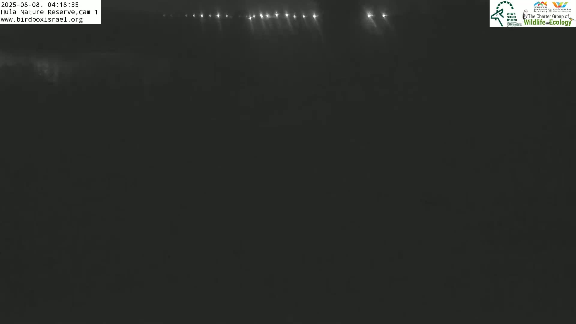 Hula Nature Reserve Bird Life & Israel-Syria Border Golan Hills & Hermon Mountain/Jabal al Shaykh View Live Cam - Yesud Hamaala, Northern, Israel