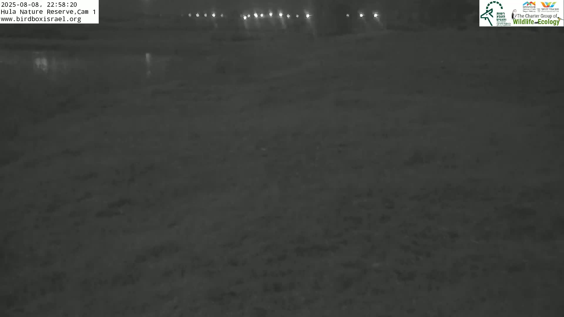 Hula Nature Reserve Bird Life & Israel-Syria Border Golan Hills & Hermon Mountain/Jabal al Shaykh View Live Cam - Yesud Hamaala, Northern, Israel