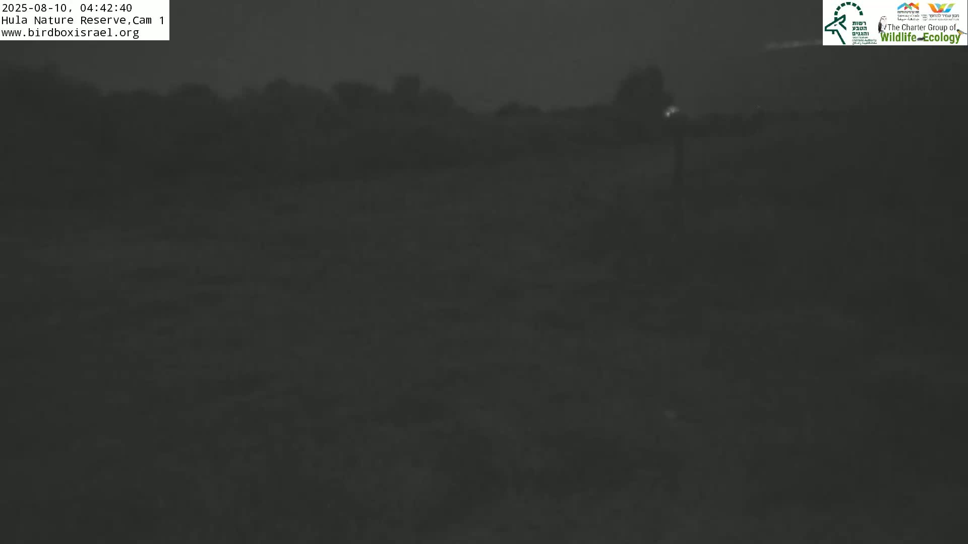 Hula Nature Reserve Bird Life & Israel-Syria Border Golan Hills & Hermon Mountain/Jabal al Shaykh View Live Cam - Yesud Hamaala, Northern, Israel