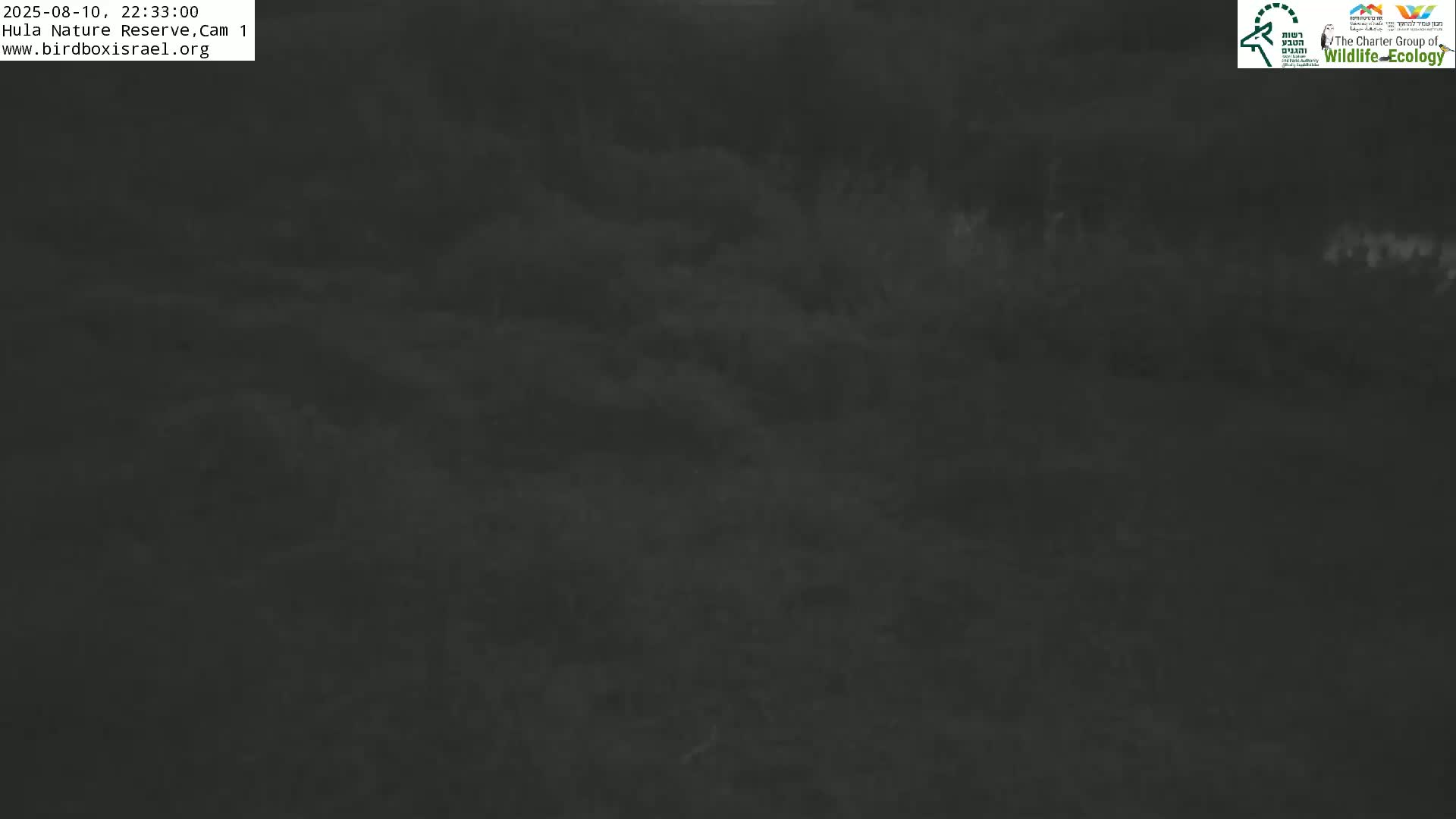 Hula Nature Reserve Bird Life & Israel-Syria Border Golan Hills & Hermon Mountain/Jabal al Shaykh View Live Cam - Yesud Hamaala, Northern, Israel