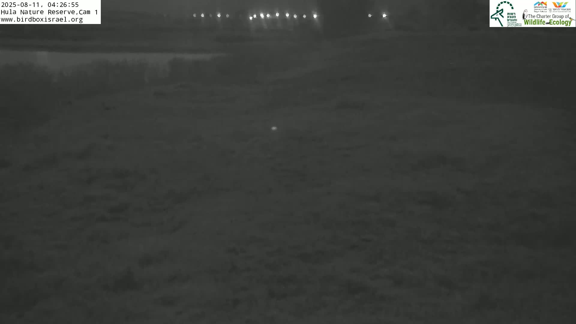 Hula Nature Reserve Bird Life & Israel-Syria Border Golan Hills & Hermon Mountain/Jabal al Shaykh View Live Cam - Yesud Hamaala, Northern, Israel