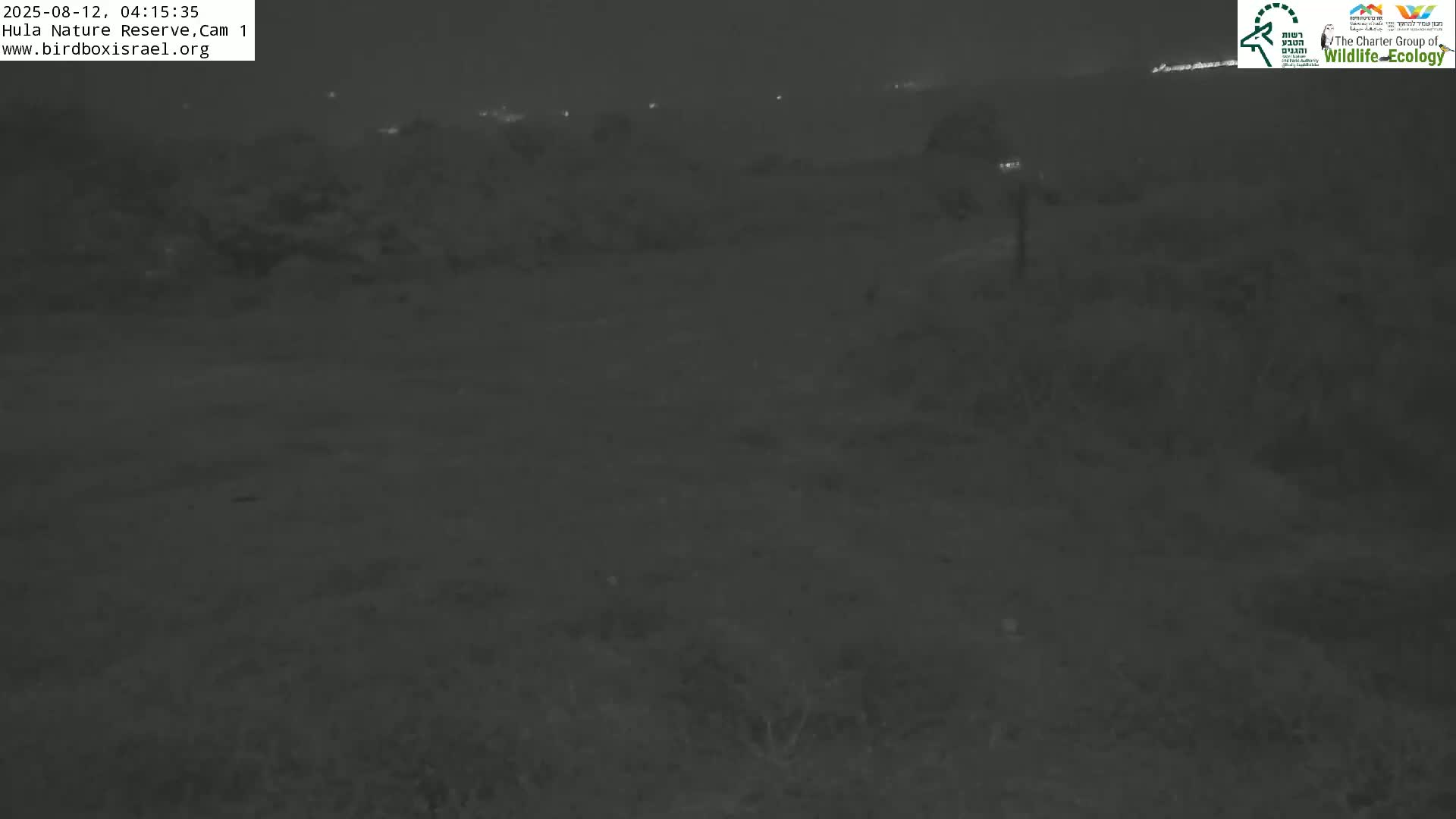 Hula Nature Reserve Bird Life & Israel-Syria Border Golan Hills & Hermon Mountain/Jabal al Shaykh View Live Cam - Yesud Hamaala, Northern, Israel