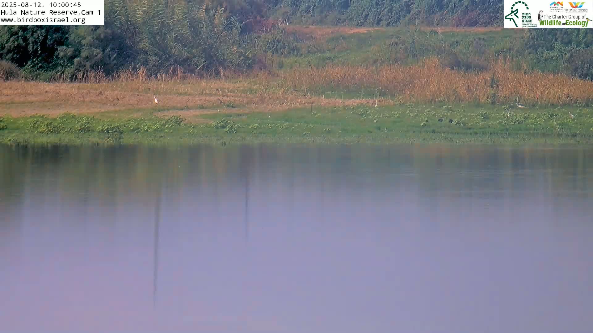 Hula Nature Reserve Bird Life & Israel-Syria Border Golan Hills & Hermon Mountain/Jabal al Shaykh View Live Cam - Yesud Hamaala, Northern, Israel