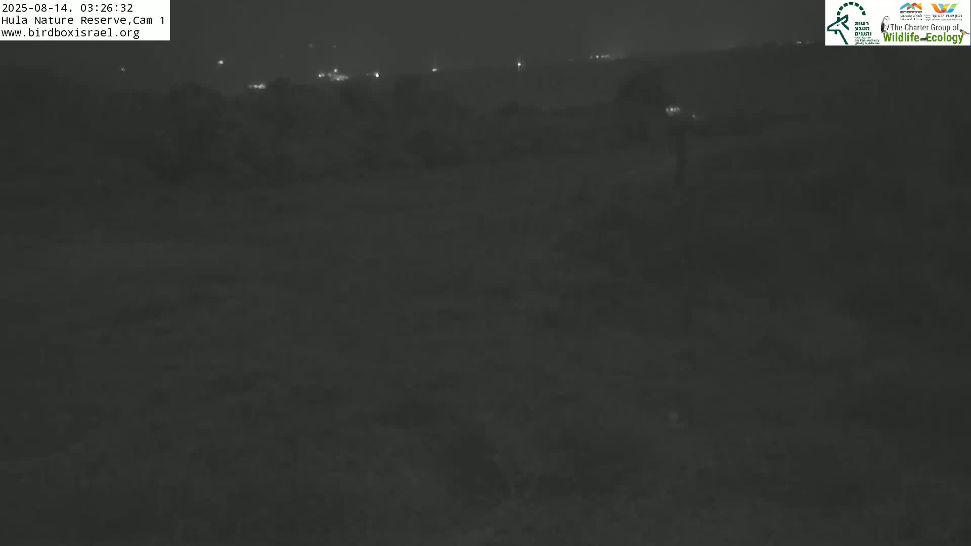 Hula Nature Reserve Bird Life & Israel-Syria Border Golan Hills & Hermon Mountain/Jabal al Shaykh View Live Cam - Yesud Hamaala, Northern, Israel