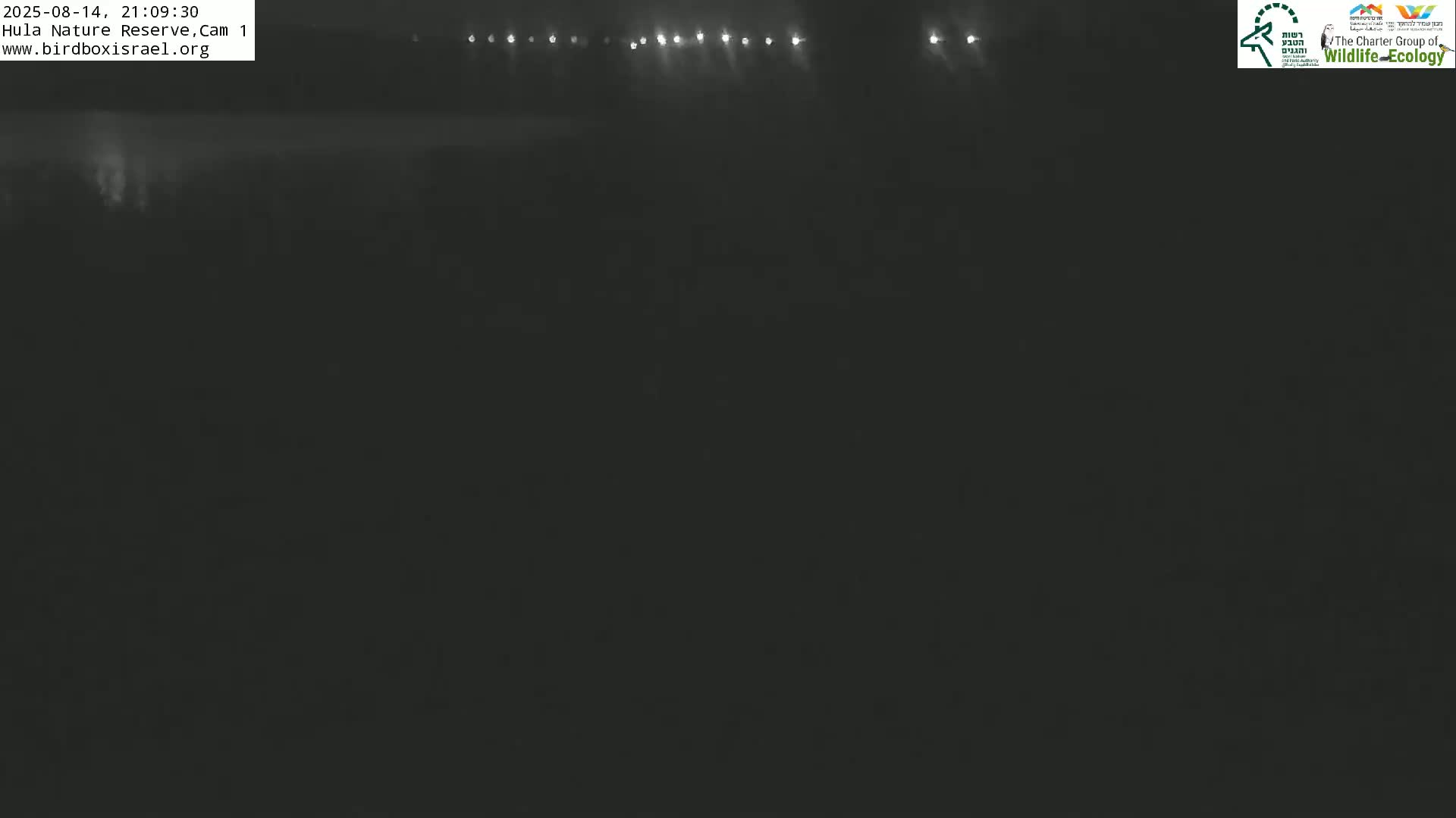 Hula Nature Reserve Bird Life & Israel-Syria Border Golan Hills & Hermon Mountain/Jabal al Shaykh View Live Cam - Yesud Hamaala, Northern, Israel