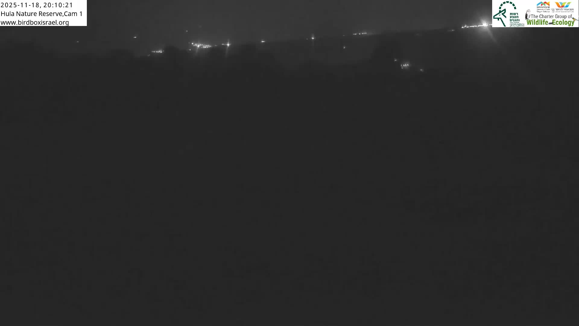 Hula Nature Reserve Bird Life & Israel-Syria Border Golan Hills & Hermon Mountain/Jabal al Shaykh View Live Cam - Yesud Hamaala, Northern, Israel