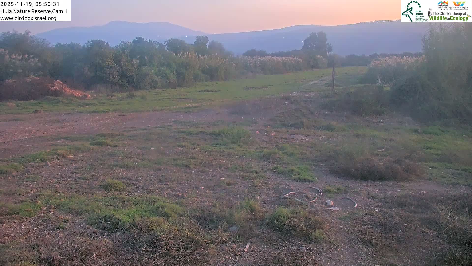 Hula Nature Reserve Bird Life & Israel-Syria Border Golan Hills & Hermon Mountain/Jabal al Shaykh View Live Cam - Yesud Hamaala, Northern, Israel