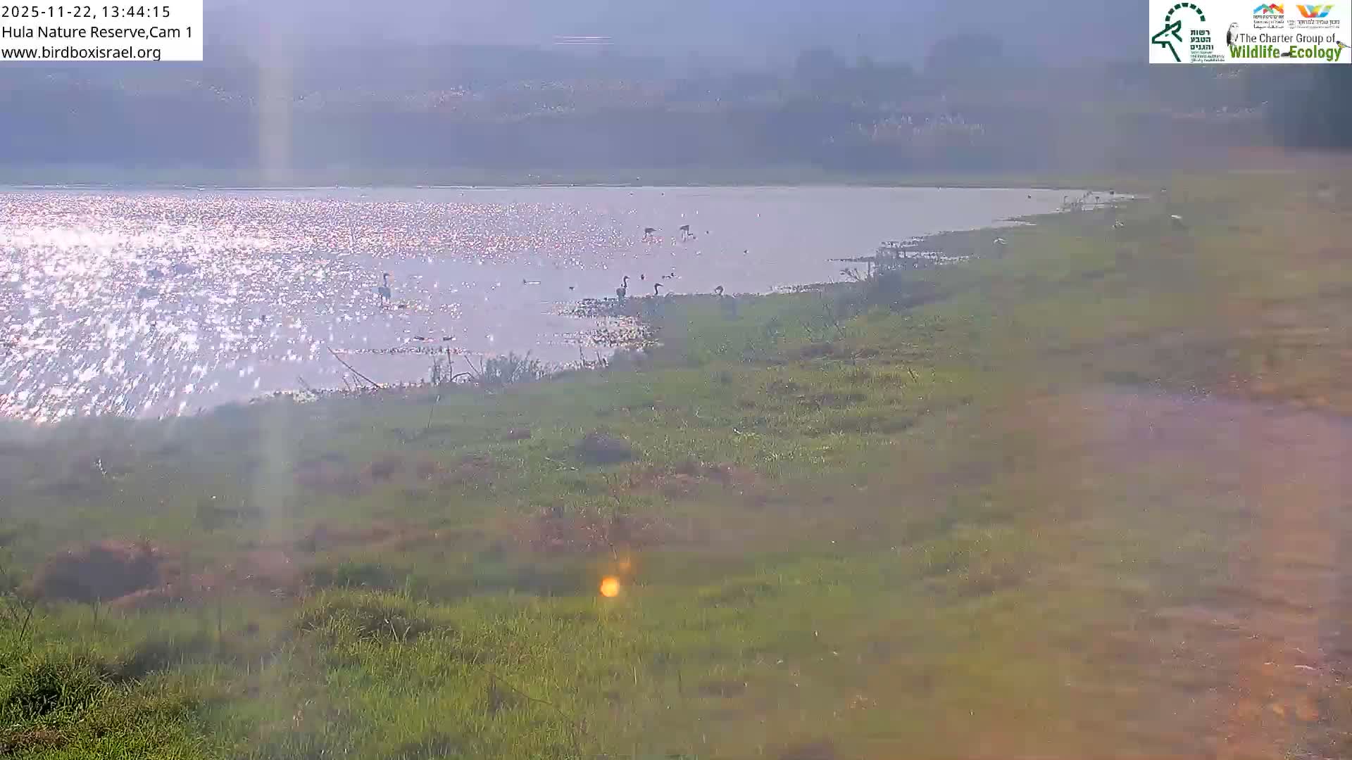 Hula Nature Reserve Bird Life & Israel-Syria Border Golan Hills & Hermon Mountain/Jabal al Shaykh View Live Cam - Yesud Hamaala, Northern, Israel