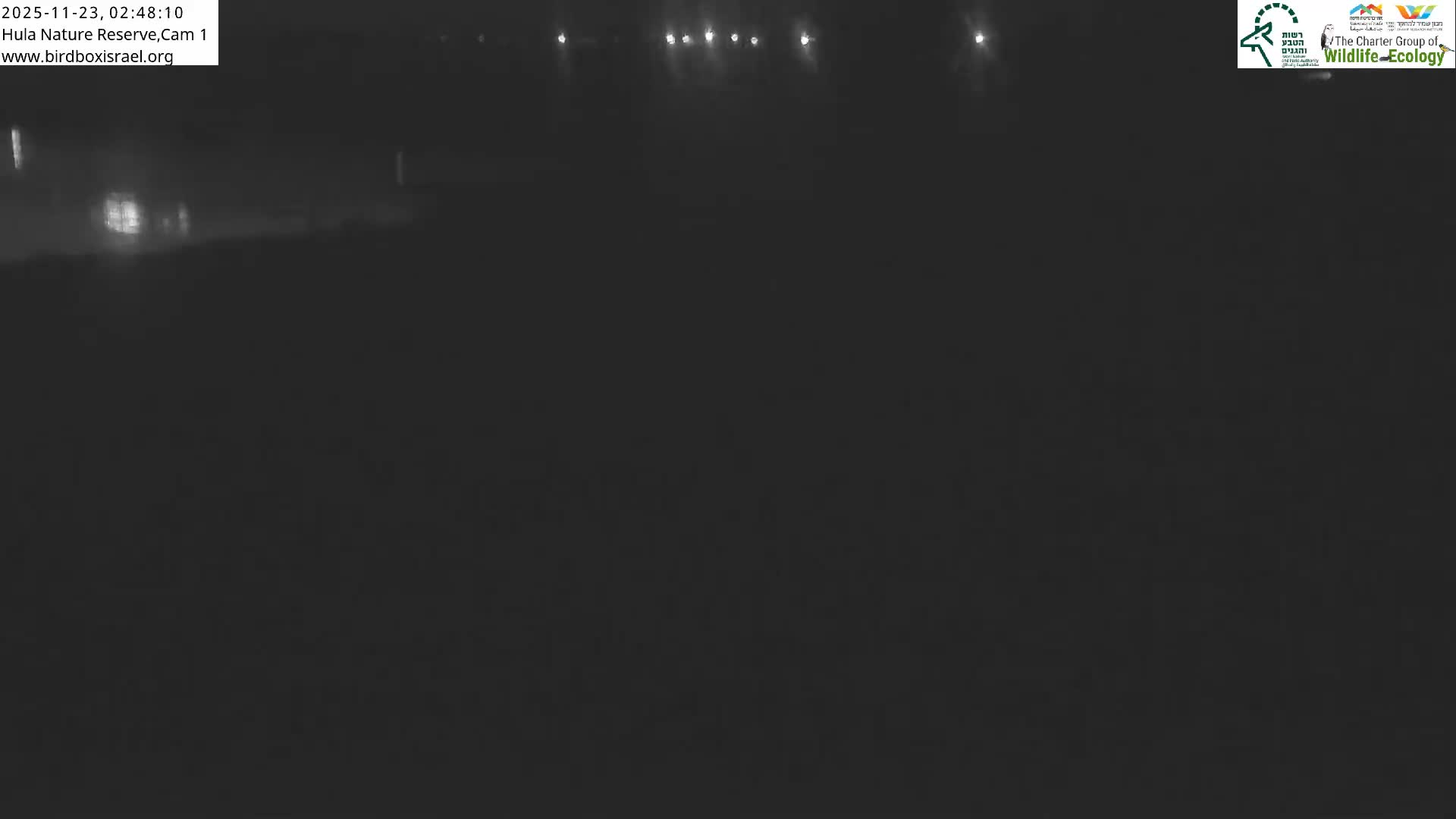 Hula Nature Reserve Bird Life & Israel-Syria Border Golan Hills & Hermon Mountain/Jabal al Shaykh View Live Cam - Yesud Hamaala, Northern, Israel