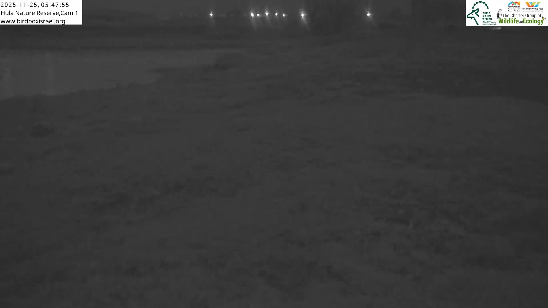 Hula Nature Reserve Bird Life & Israel-Syria Border Golan Hills & Hermon Mountain/Jabal al Shaykh View Live Cam - Yesud Hamaala, Northern, Israel
