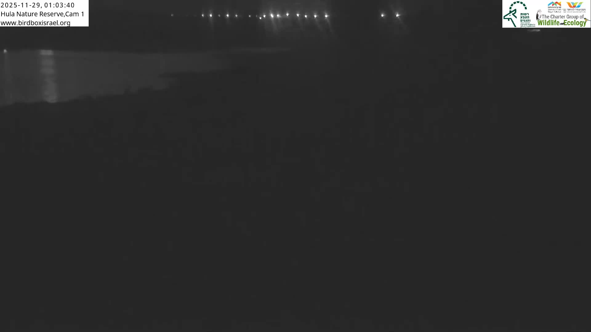 Hula Nature Reserve Bird Life & Israel-Syria Border Golan Hills & Hermon Mountain/Jabal al Shaykh View Live Cam - Yesud Hamaala, Northern, Israel