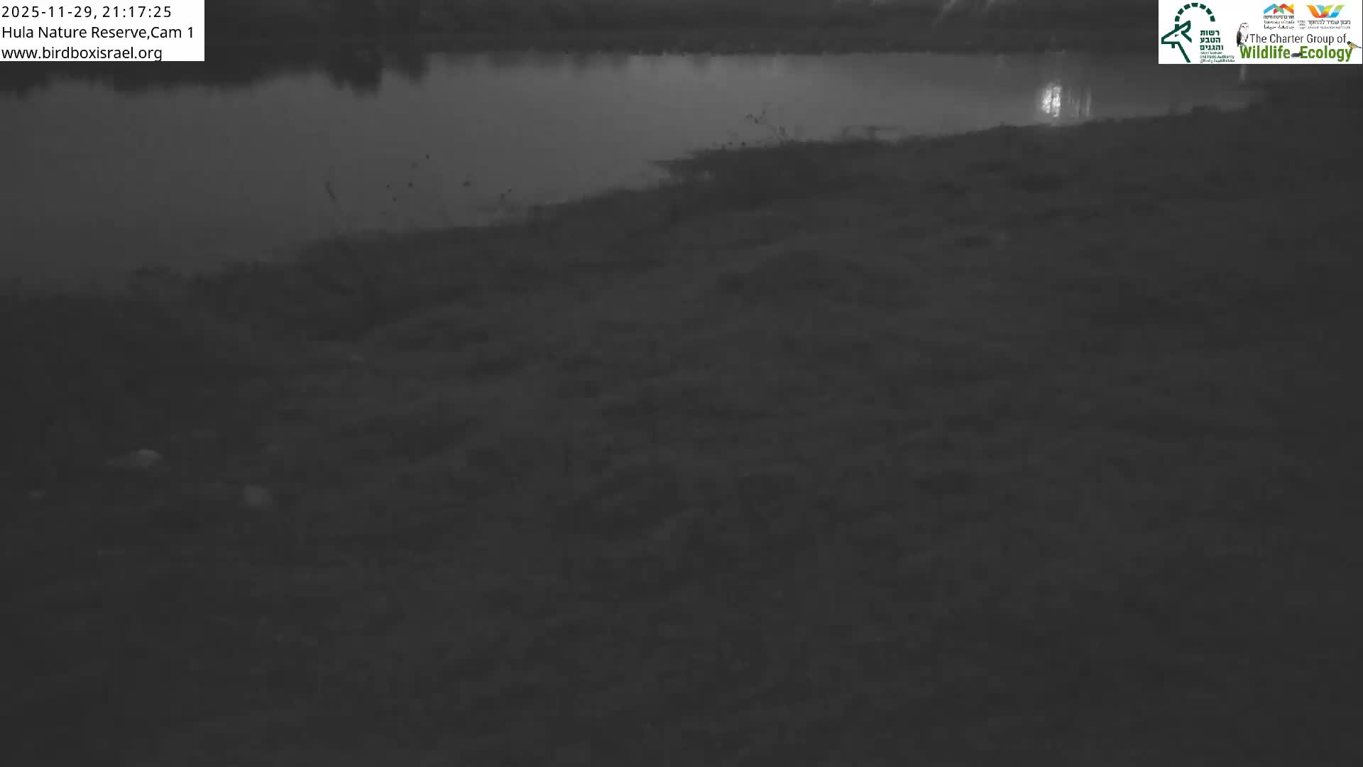 Hula Nature Reserve Bird Life & Israel-Syria Border Golan Hills & Hermon Mountain/Jabal al Shaykh View Live Cam - Yesud Hamaala, Northern, Israel