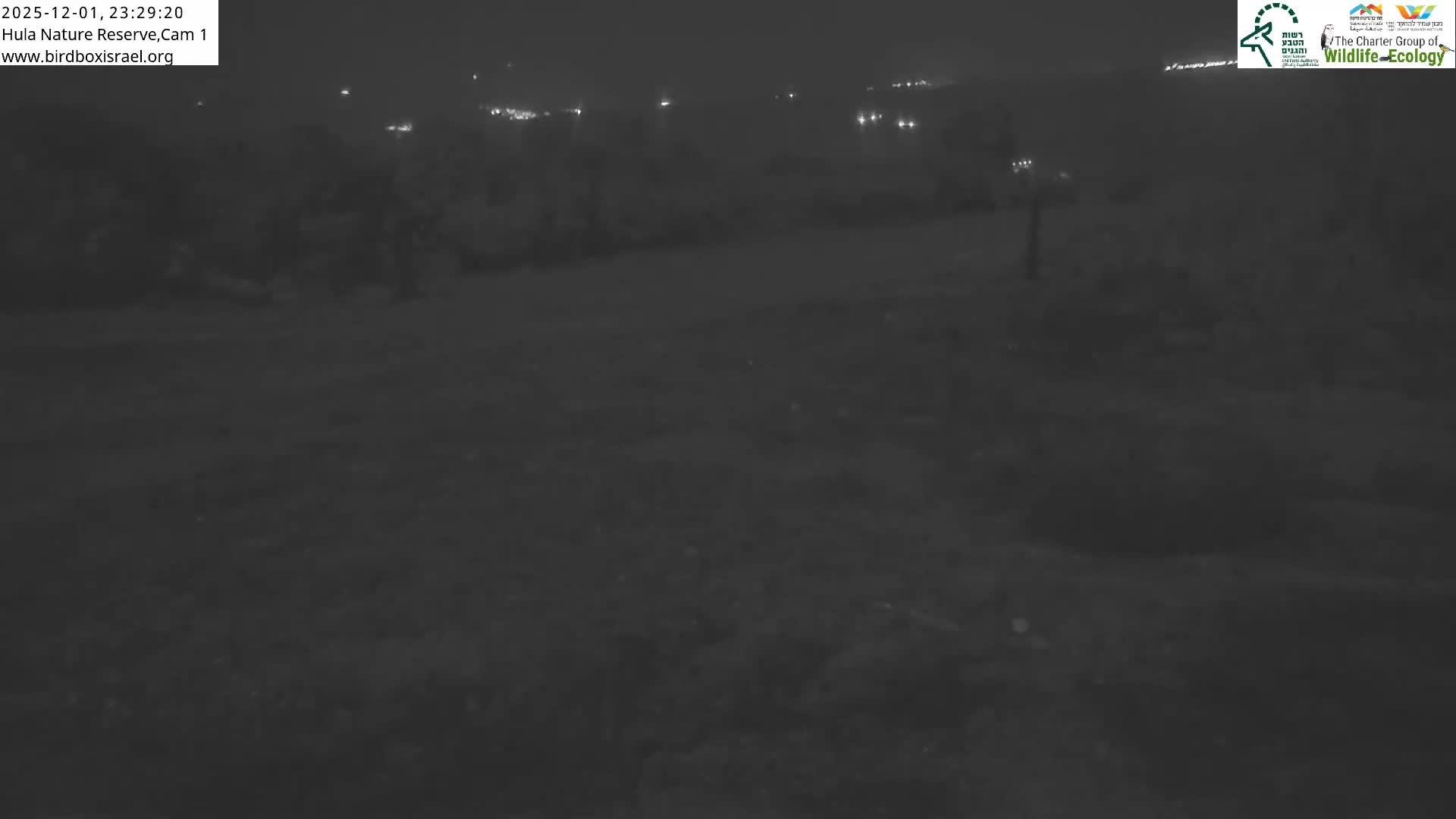 Hula Nature Reserve Bird Life & Israel-Syria Border Golan Hills & Hermon Mountain/Jabal al Shaykh View Live Cam - Yesud Hamaala, Northern, Israel