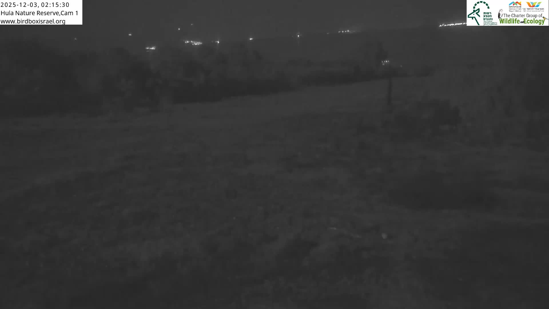 Hula Nature Reserve Bird Life & Israel-Syria Border Golan Hills & Hermon Mountain/Jabal al Shaykh View Live Cam - Yesud Hamaala, Northern, Israel