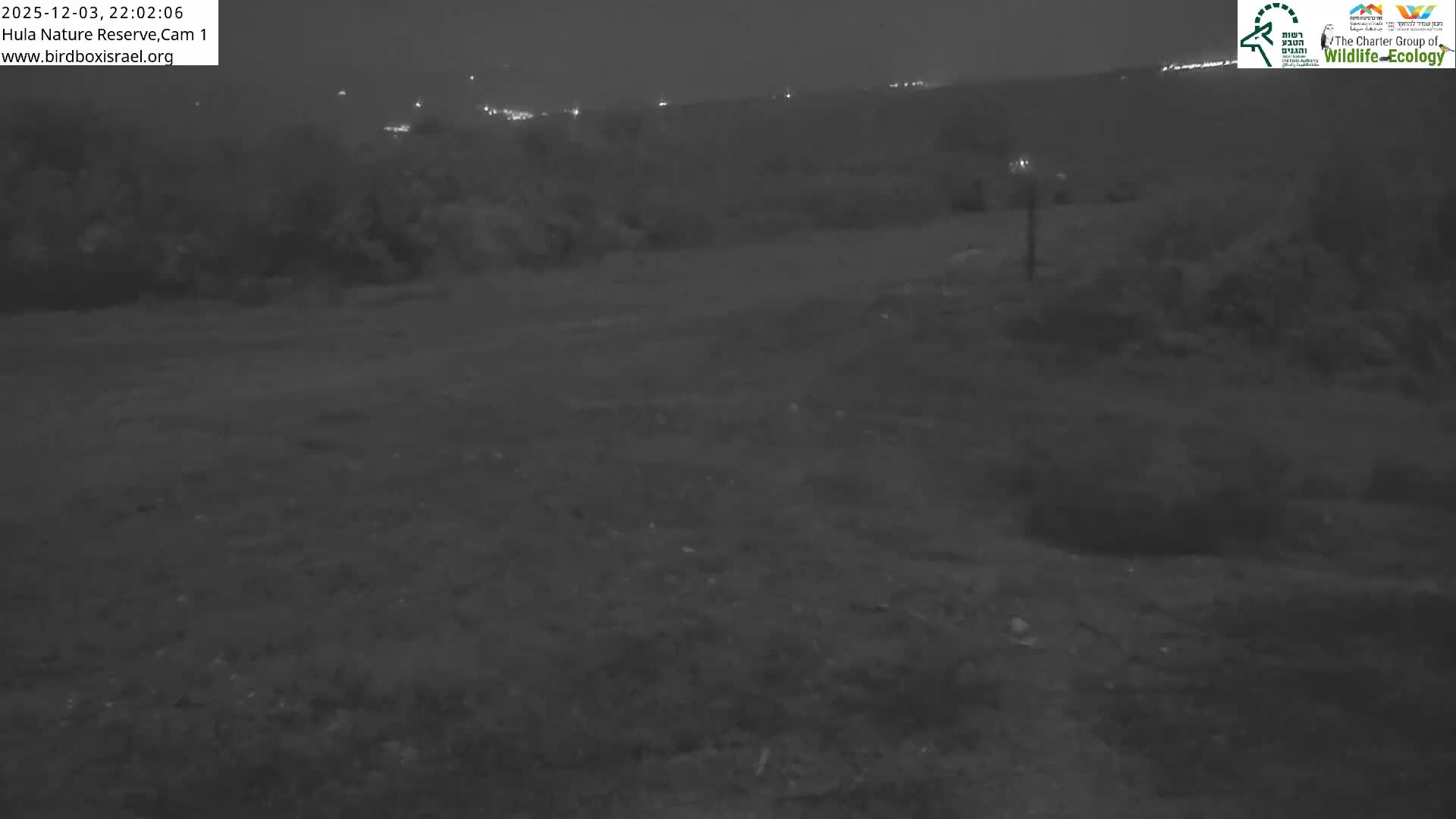 Hula Nature Reserve Bird Life & Israel-Syria Border Golan Hills & Hermon Mountain/Jabal al Shaykh View Live Cam - Yesud Hamaala, Northern, Israel