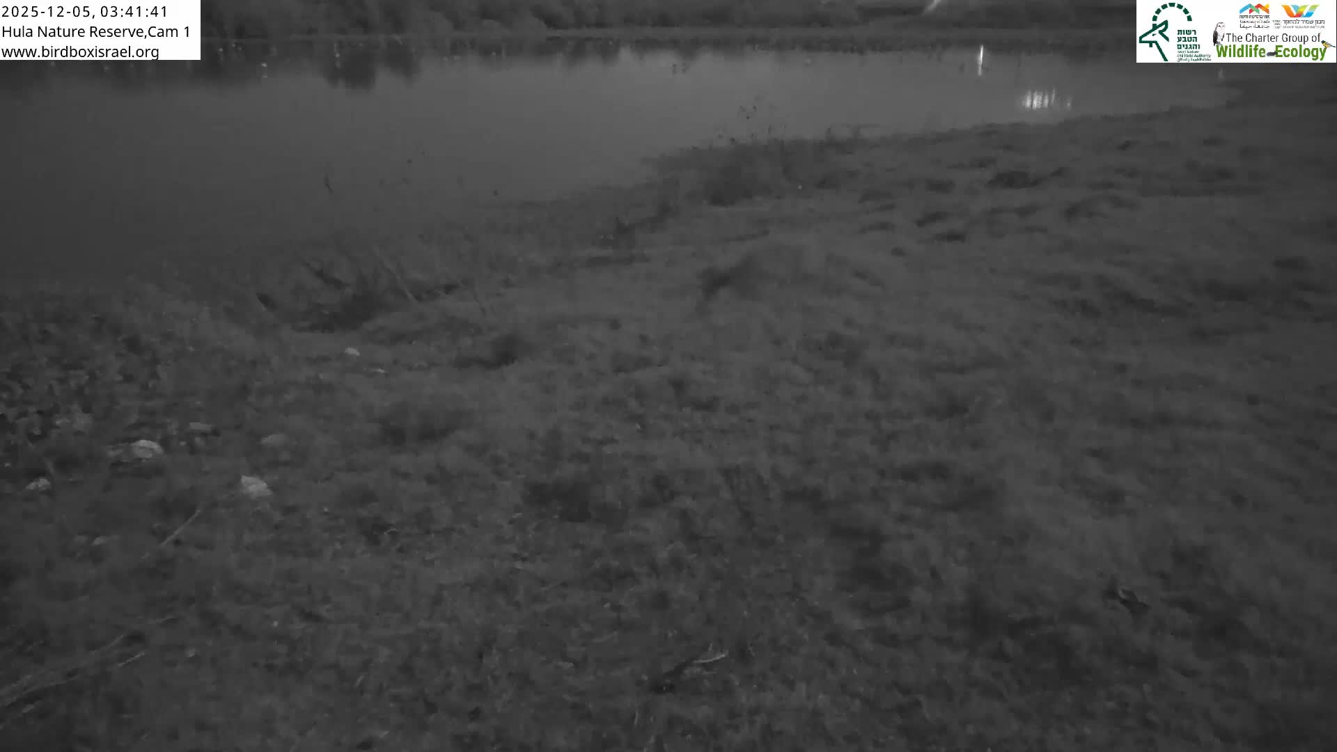 Hula Nature Reserve Bird Life & Israel-Syria Border Golan Hills & Hermon Mountain/Jabal al Shaykh View Live Cam - Yesud Hamaala, Northern, Israel