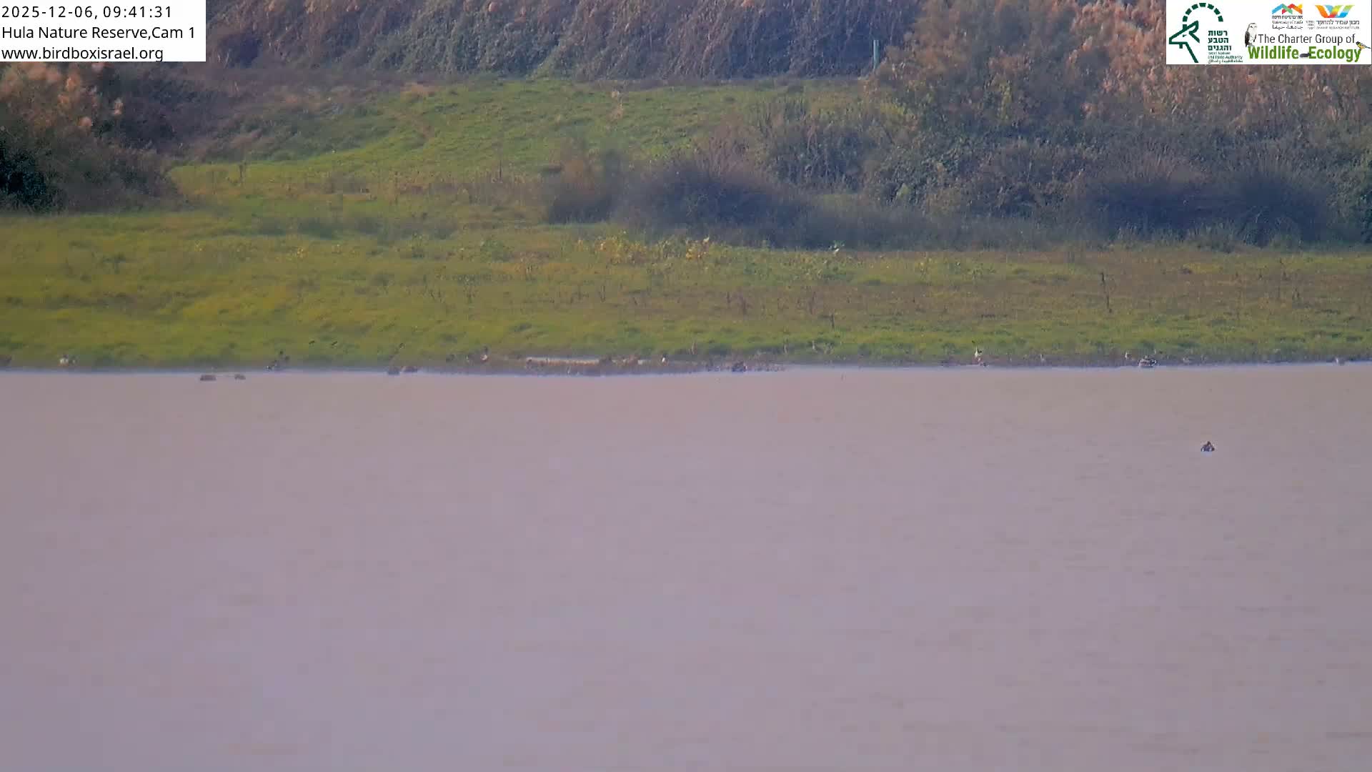 Hula Nature Reserve Bird Life & Israel-Syria Border Golan Hills & Hermon Mountain/Jabal al Shaykh View Live Cam - Yesud Hamaala, Northern, Israel