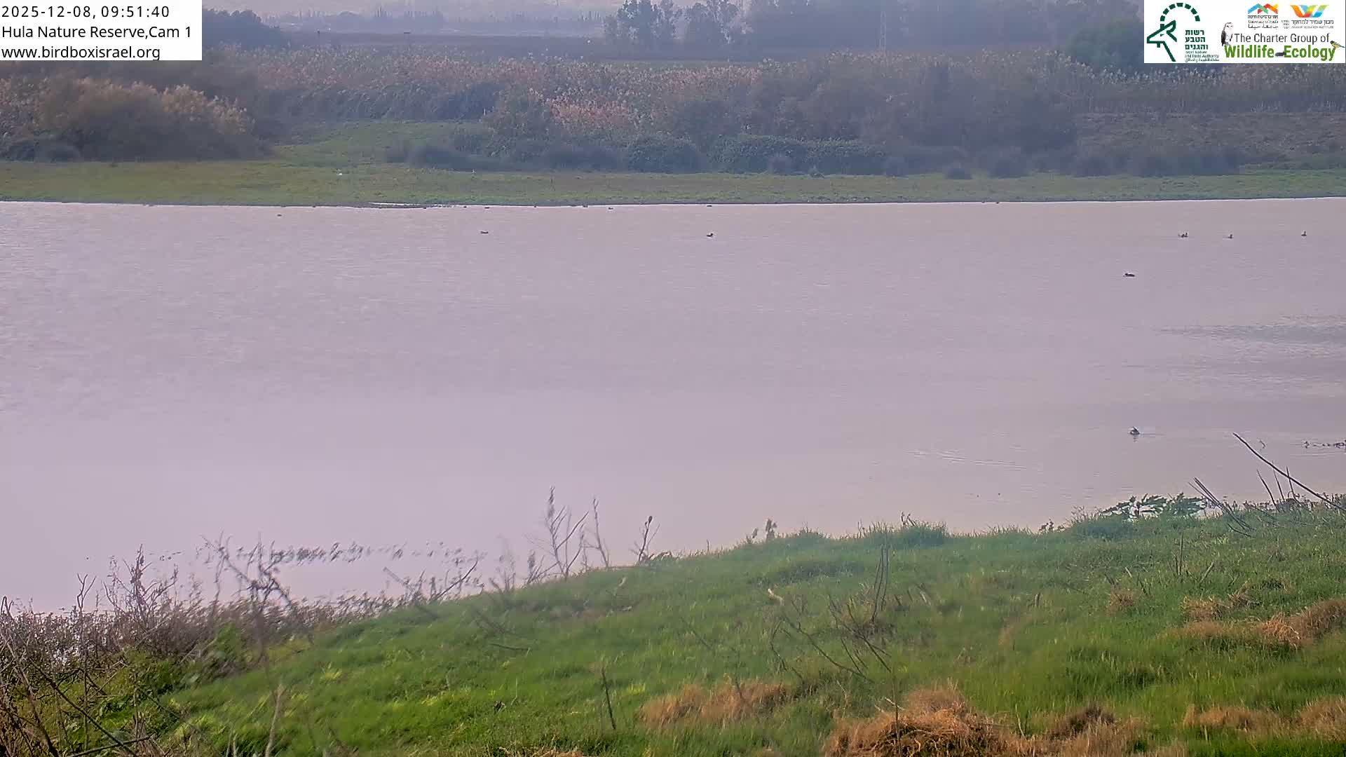 Hula Nature Reserve Bird Life & Israel-Syria Border Golan Hills & Hermon Mountain/Jabal al Shaykh View Live Cam - Yesud Hamaala, Northern, Israel