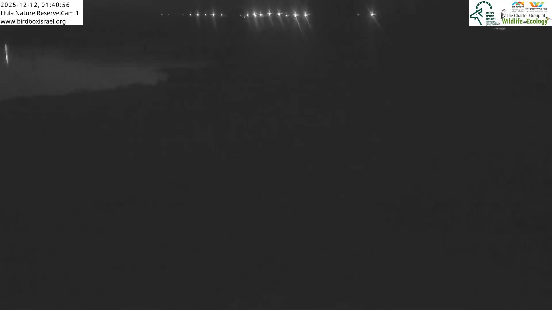 Hula Nature Reserve Bird Life & Israel-Syria Border Golan Hills & Hermon Mountain/Jabal al Shaykh View Live Cam - Yesud Hamaala, Northern, Israel