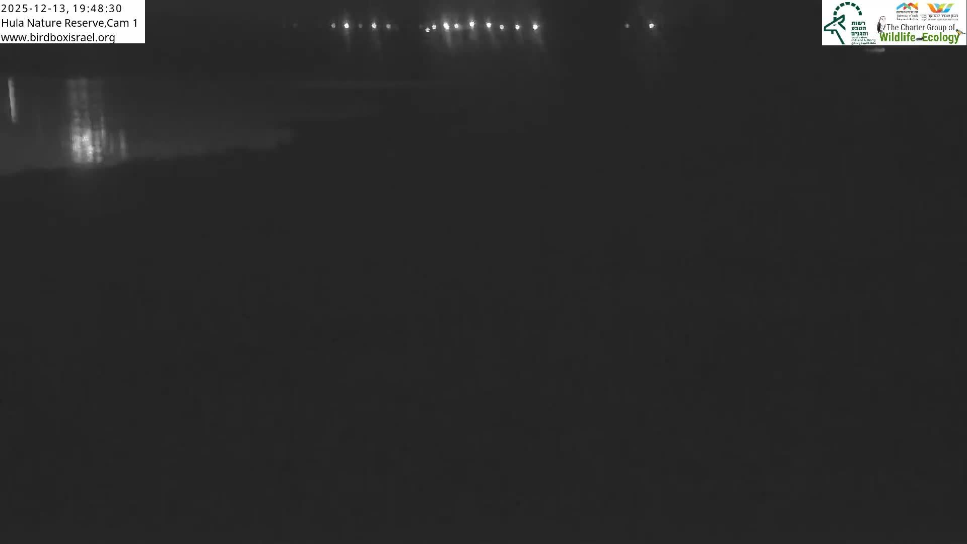 Hula Nature Reserve Bird Life & Israel-Syria Border Golan Hills & Hermon Mountain/Jabal al Shaykh View Live Cam - Yesud Hamaala, Northern, Israel