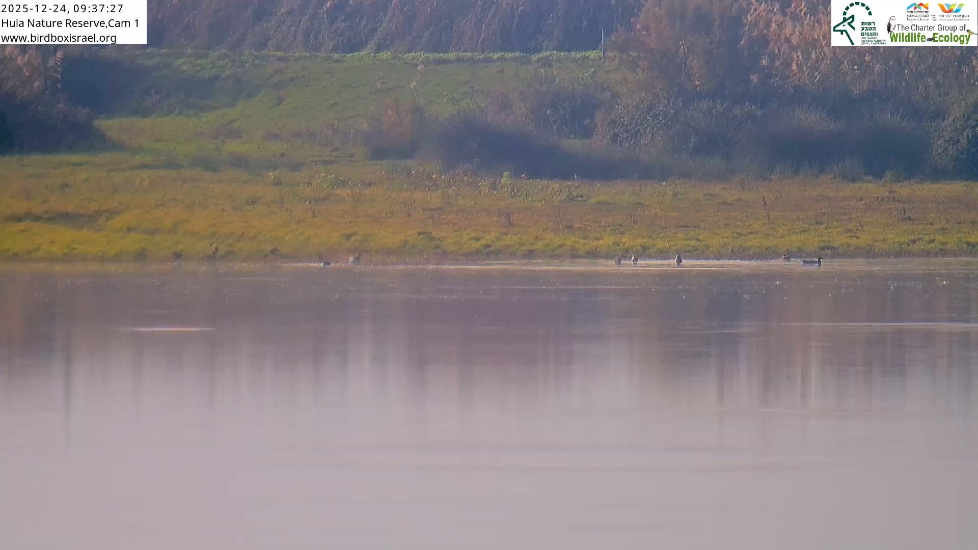 Hula Nature Reserve Bird Life & Israel-Syria Border Golan Hills & Hermon Mountain/Jabal al Shaykh View Live Cam - Yesud Hamaala, Northern, Israel