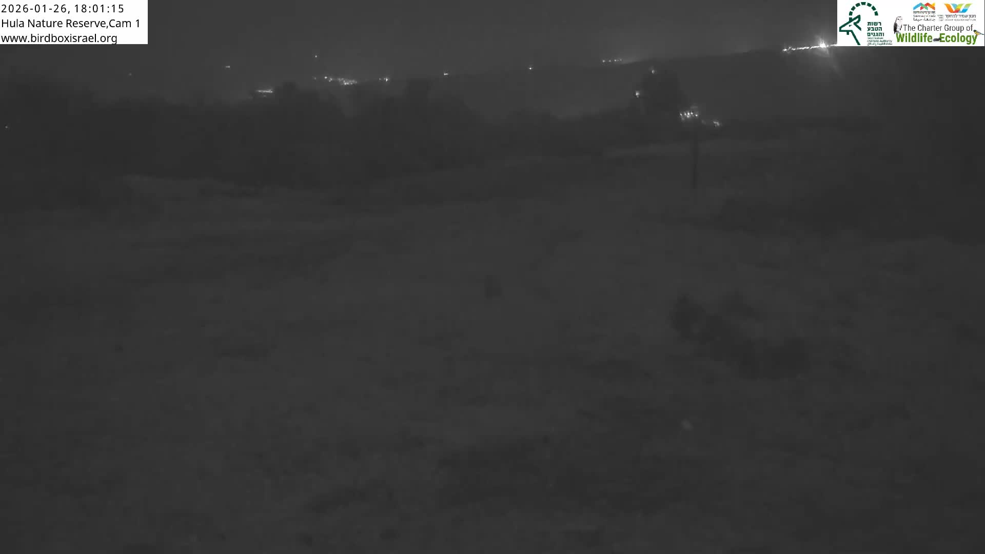 Hula Nature Reserve Bird Life & Israel-Syria Border Golan Hills & Hermon Mountain/Jabal al Shaykh View Live Cam - Yesud Hamaala, Northern, Israel