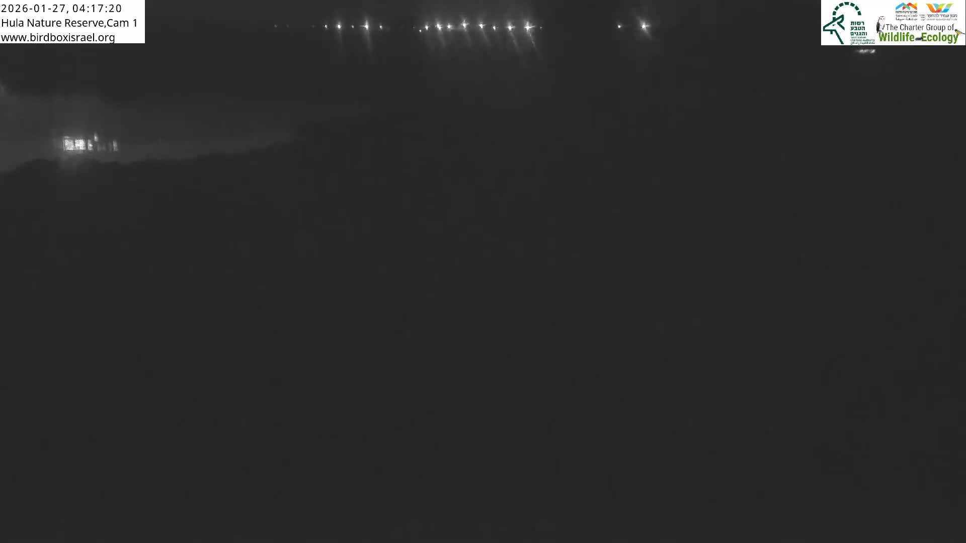 Hula Nature Reserve Bird Life & Israel-Syria Border Golan Hills & Hermon Mountain/Jabal al Shaykh View Live Cam - Yesud Hamaala, Northern, Israel