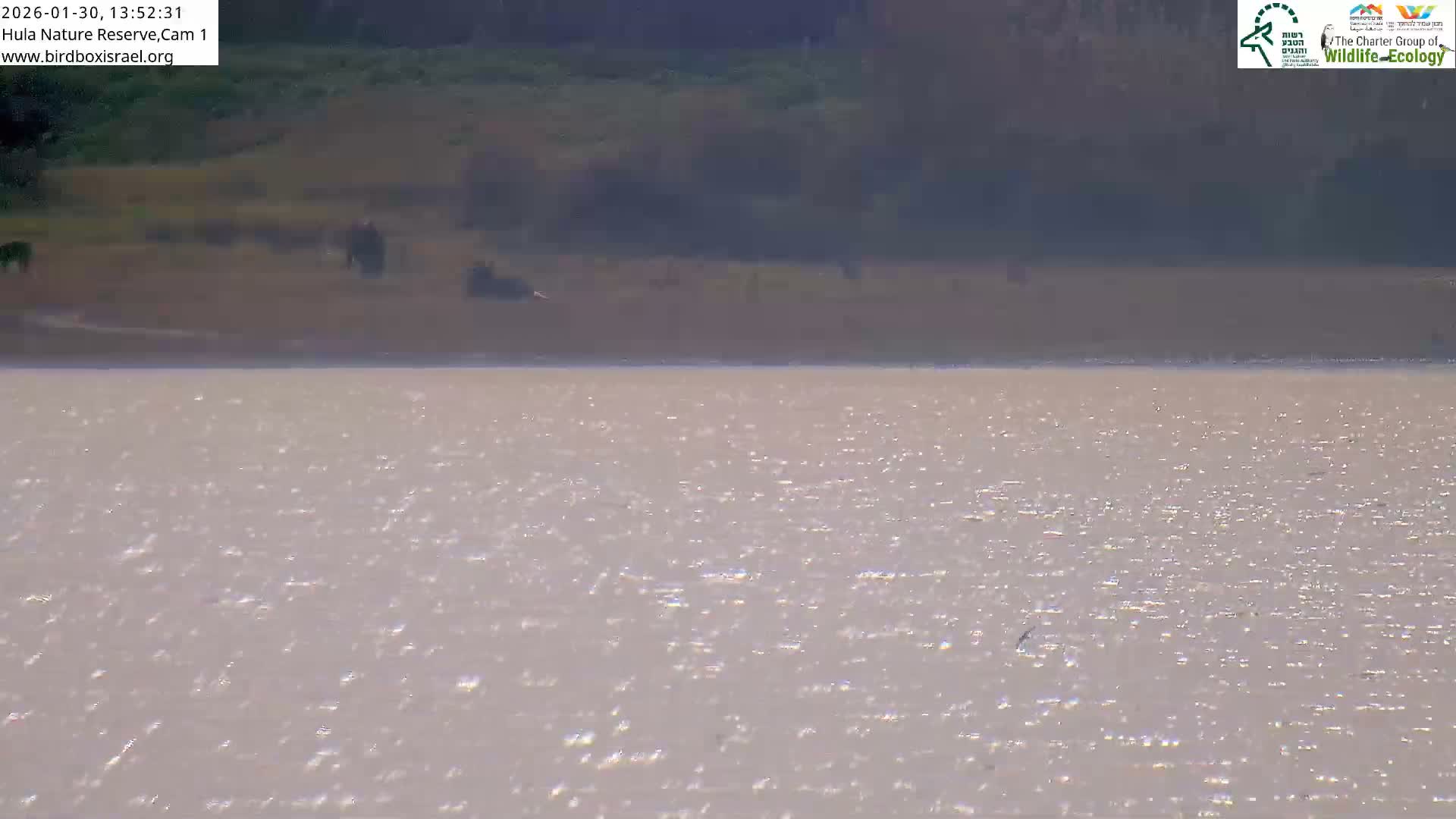 Hula Nature Reserve Bird Life & Israel-Syria Border Golan Hills & Hermon Mountain/Jabal al Shaykh View Live Cam - Yesud Hamaala, Northern, Israel