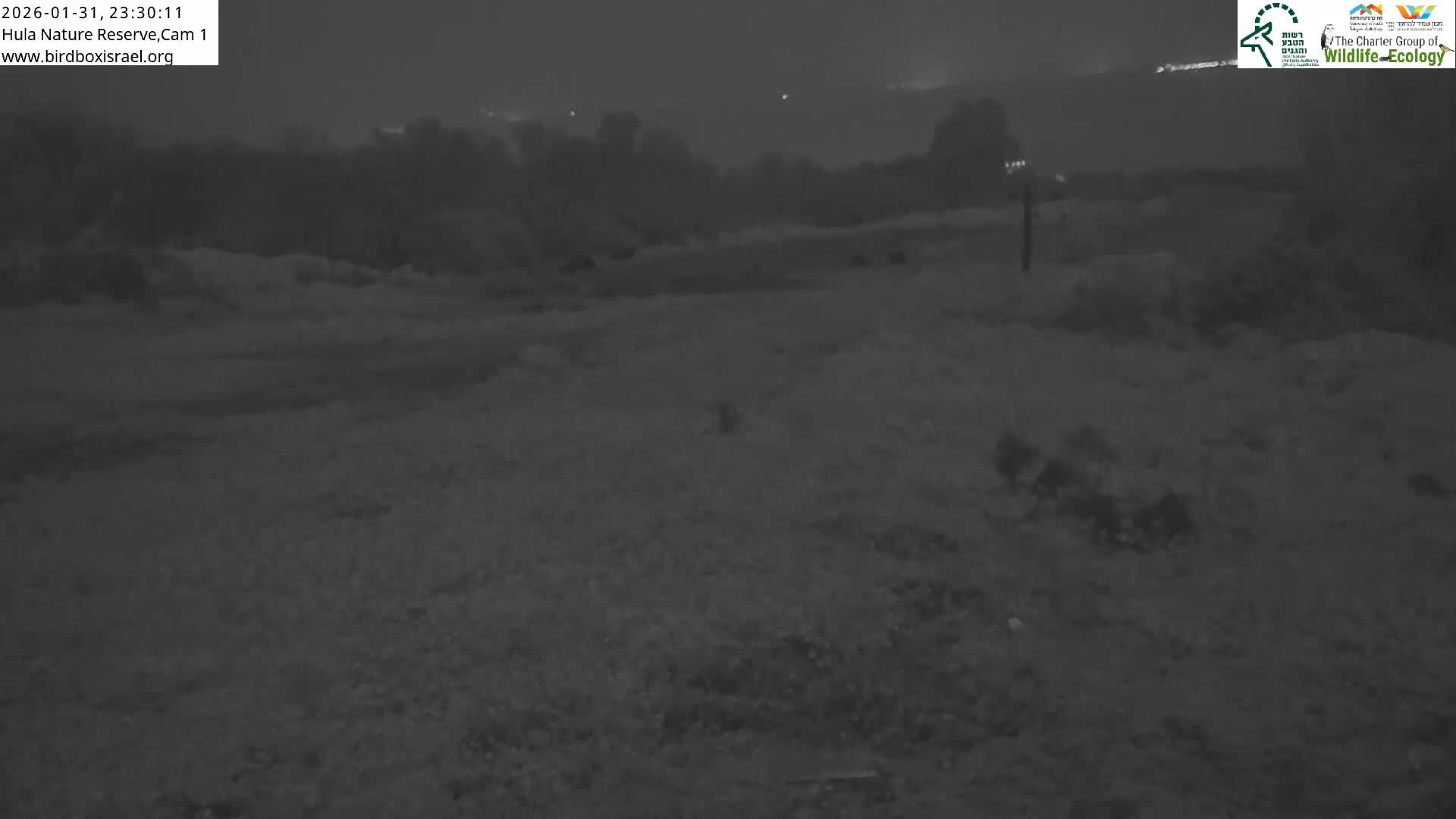 Hula Nature Reserve Bird Life & Israel-Syria Border Golan Hills & Hermon Mountain/Jabal al Shaykh View Live Cam - Yesud Hamaala, Northern, Israel