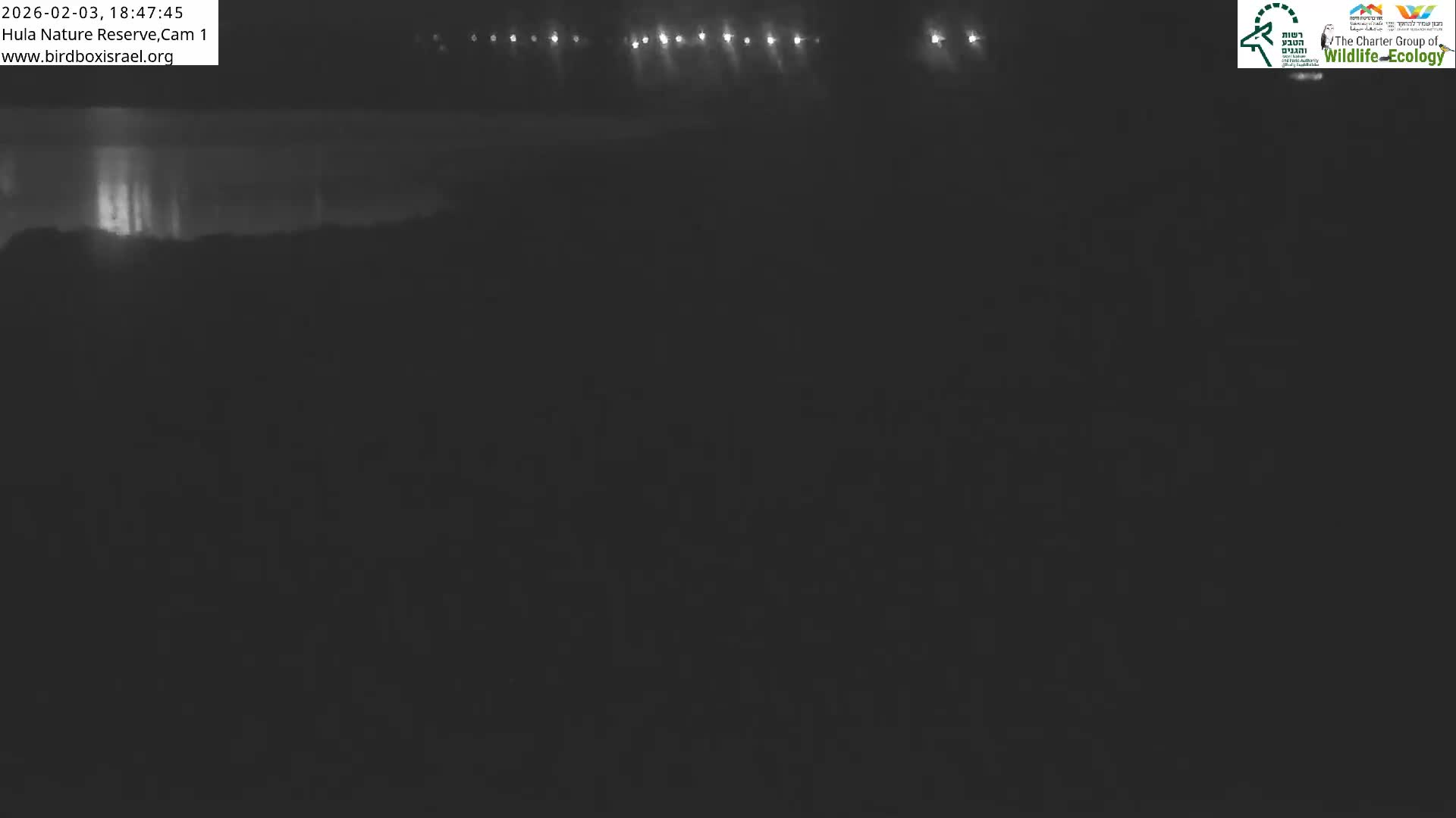Hula Nature Reserve Bird Life & Israel-Syria Border Golan Hills & Hermon Mountain/Jabal al Shaykh View Live Cam - Yesud Hamaala, Northern, Israel