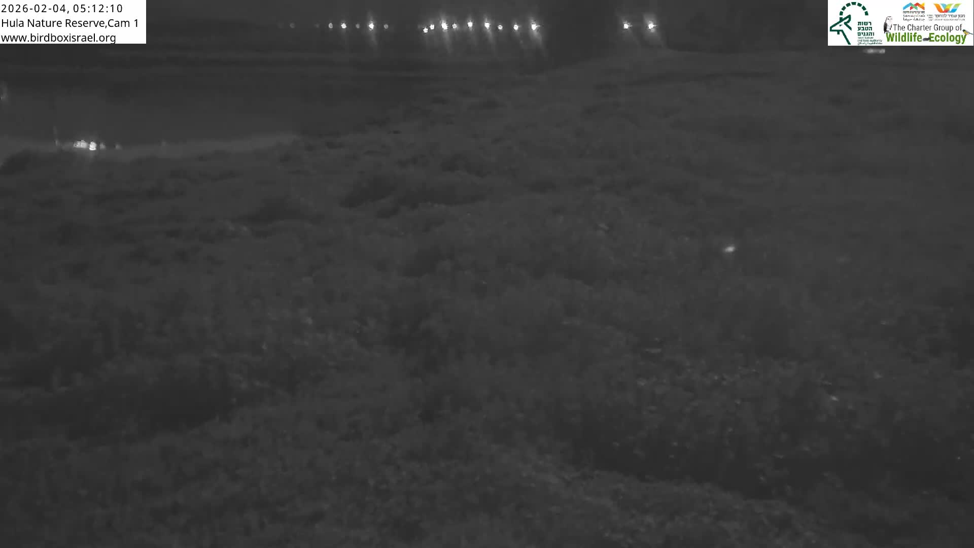 Hula Nature Reserve Bird Life & Israel-Syria Border Golan Hills & Hermon Mountain/Jabal al Shaykh View Live Cam - Yesud Hamaala, Northern, Israel