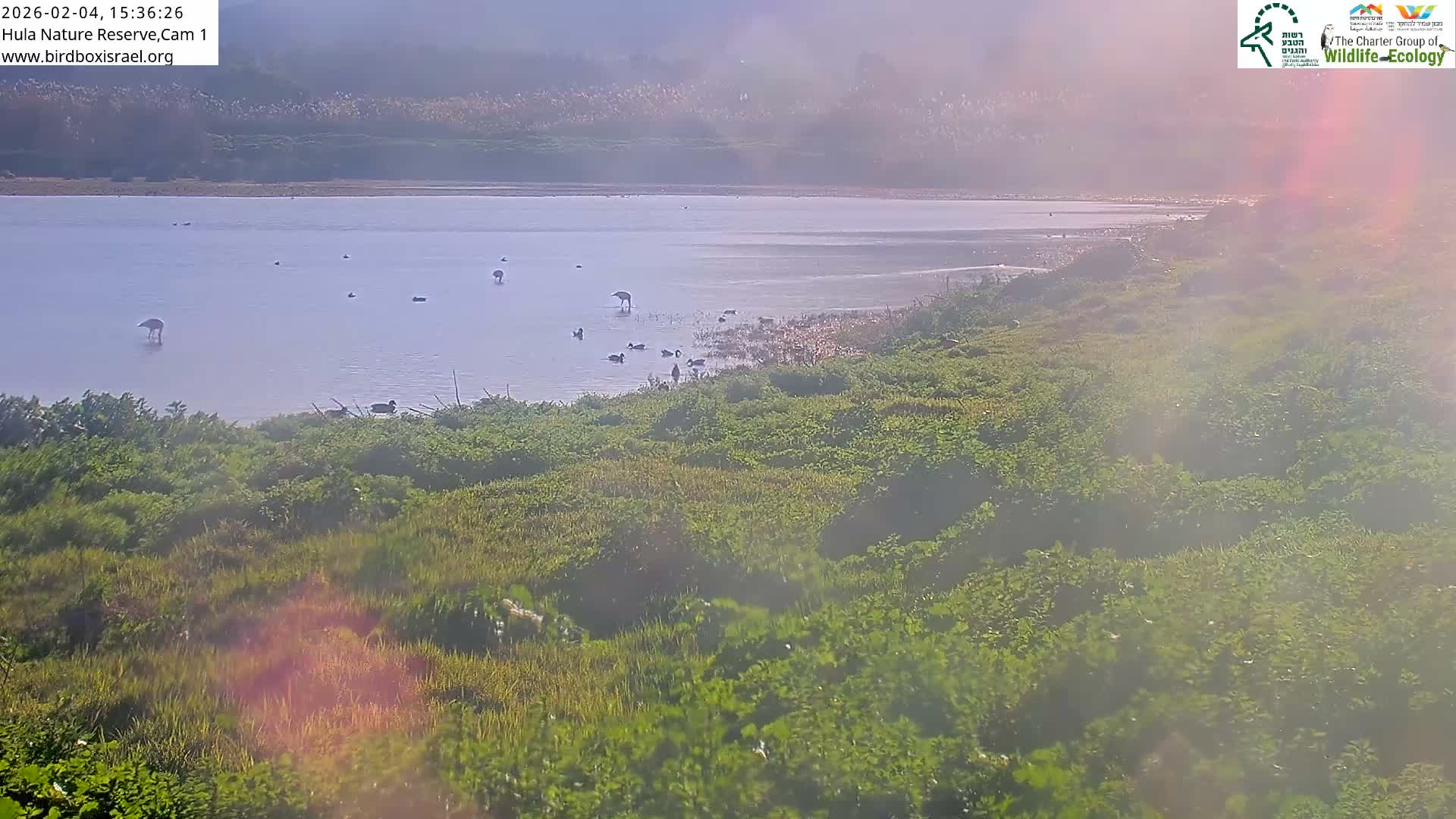 Hula Nature Reserve Bird Life & Israel-Syria Border Golan Hills & Hermon Mountain/Jabal al Shaykh View Live Cam - Yesud Hamaala, Northern, Israel