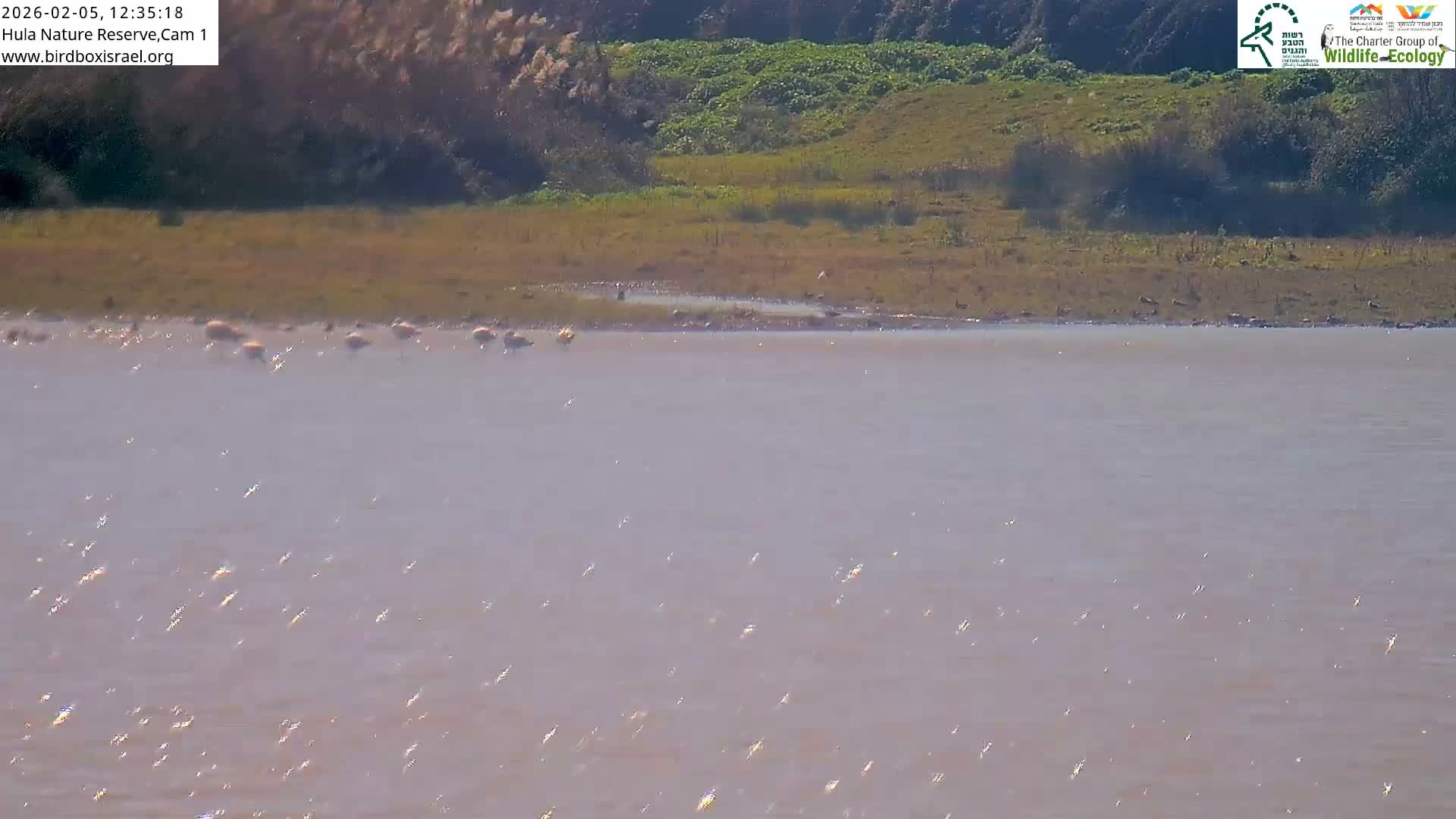 Hula Nature Reserve Bird Life & Israel-Syria Border Golan Hills & Hermon Mountain/Jabal al Shaykh View Live Cam - Yesud Hamaala, Northern, Israel