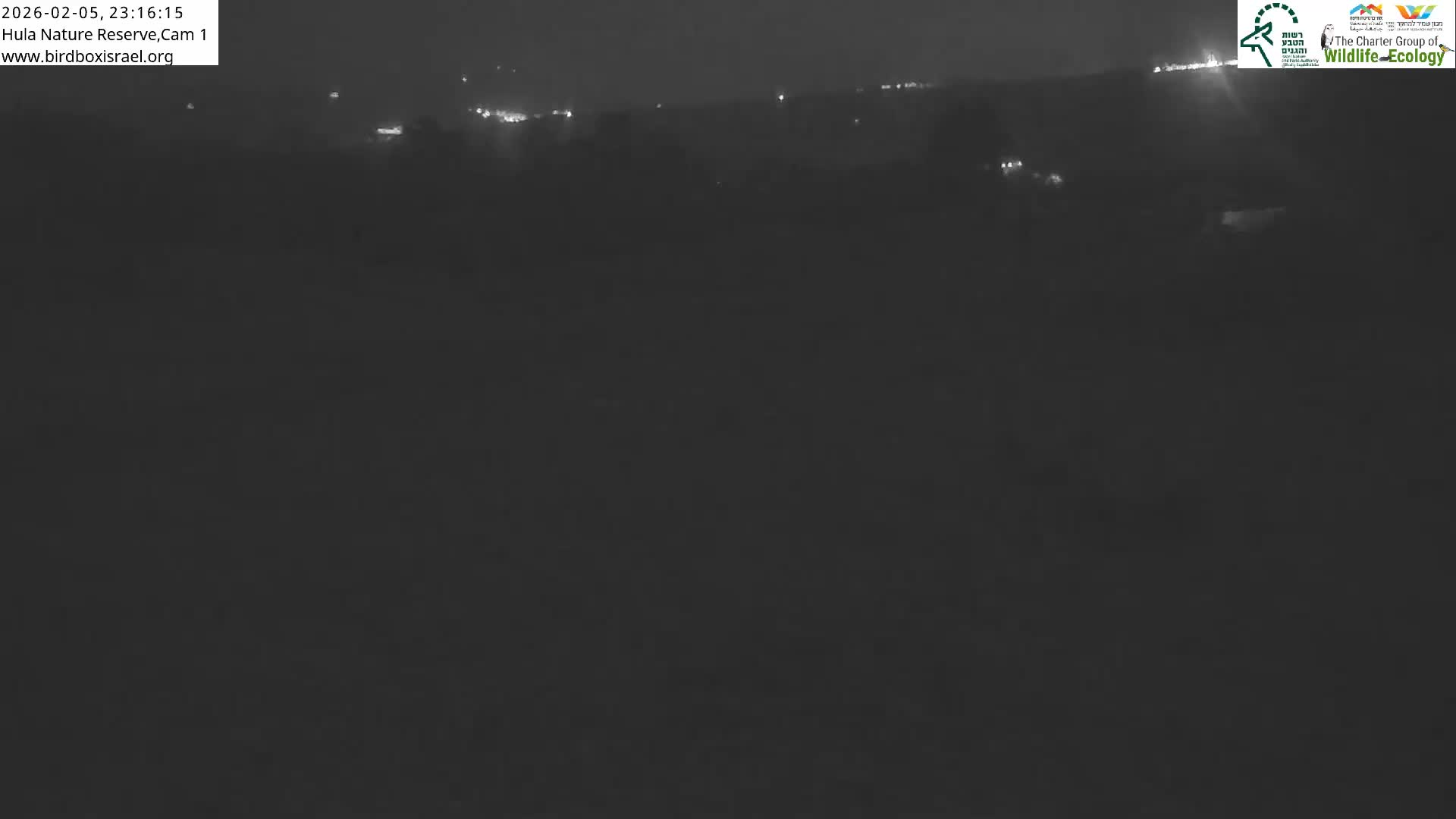 Hula Nature Reserve Bird Life & Israel-Syria Border Golan Hills & Hermon Mountain/Jabal al Shaykh View Live Cam - Yesud Hamaala, Northern, Israel