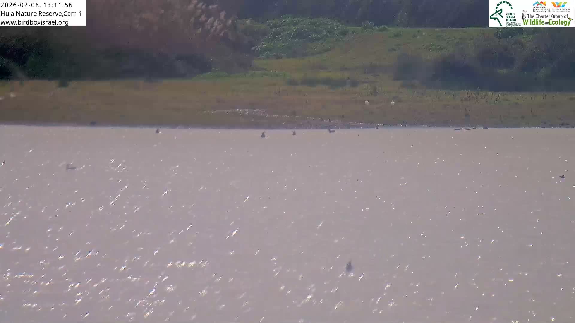 Hula Nature Reserve Bird Life & Israel-Syria Border Golan Hills & Hermon Mountain/Jabal al Shaykh View Live Cam - Yesud Hamaala, Northern, Israel