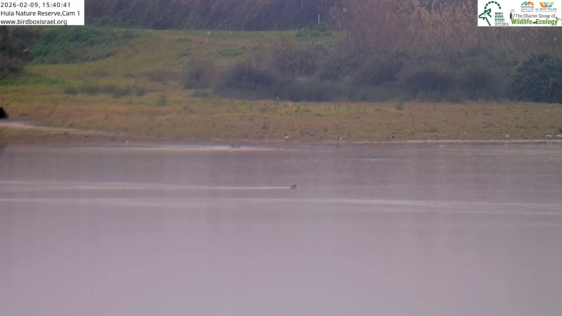 Hula Nature Reserve Bird Life & Israel-Syria Border Golan Hills & Hermon Mountain/Jabal al Shaykh View Live Cam - Yesud Hamaala, Northern, Israel