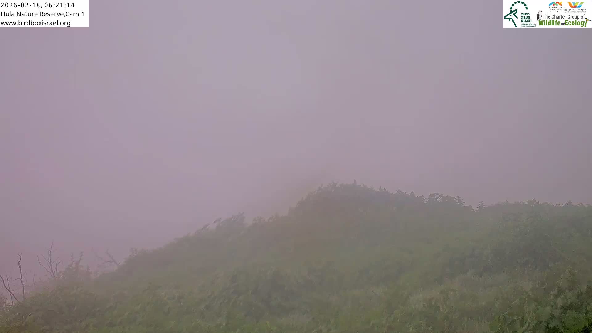 Hula Nature Reserve Bird Life & Israel-Syria Border Golan Hills & Hermon Mountain/Jabal al Shaykh View Live Cam - Yesud Hamaala, Northern, Israel