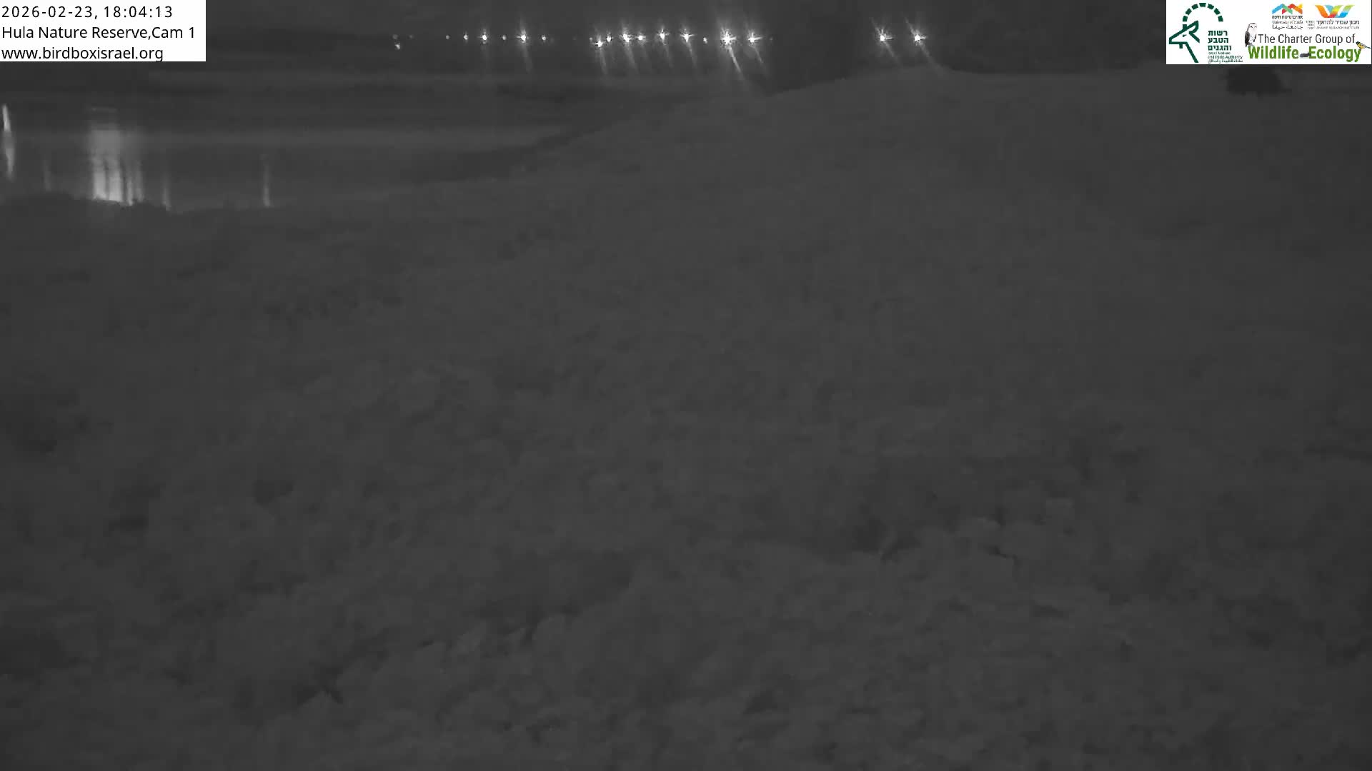Hula Nature Reserve Bird Life & Israel-Syria Border Golan Hills & Hermon Mountain/Jabal al Shaykh View Live Cam - Yesud Hamaala, Northern, Israel